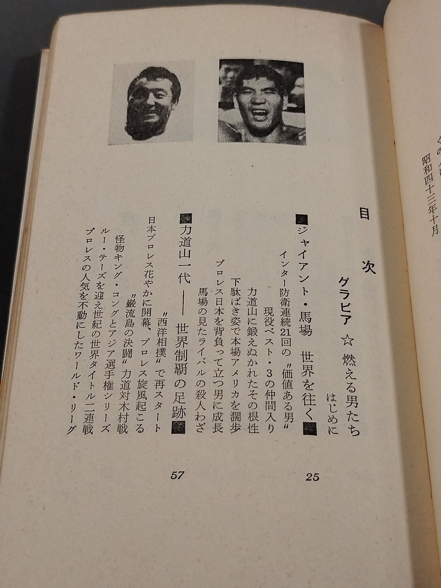プロレス血風録 世界を制覇する怒涛の男たち