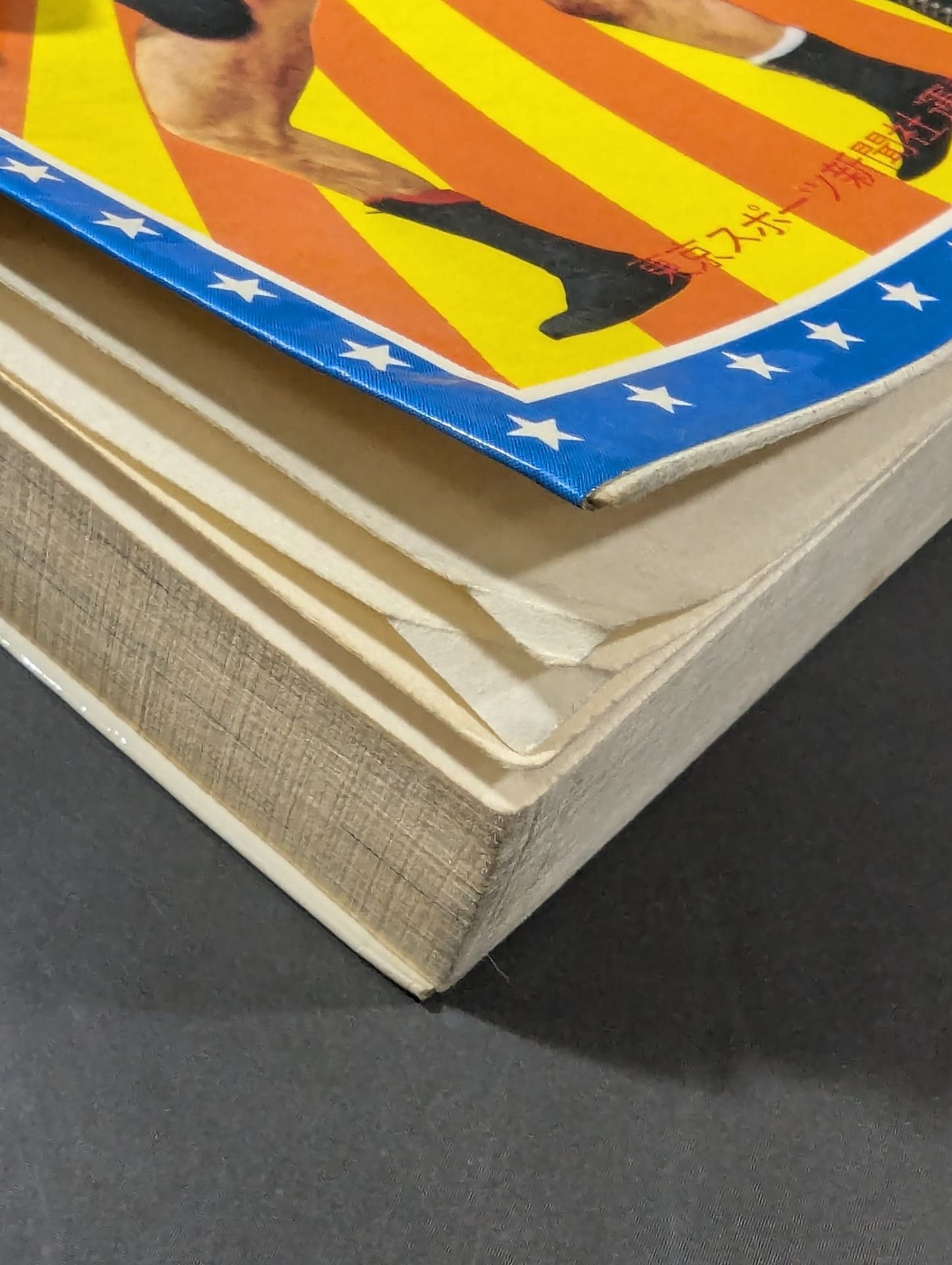 プロレス血闘録【増補改訂版】