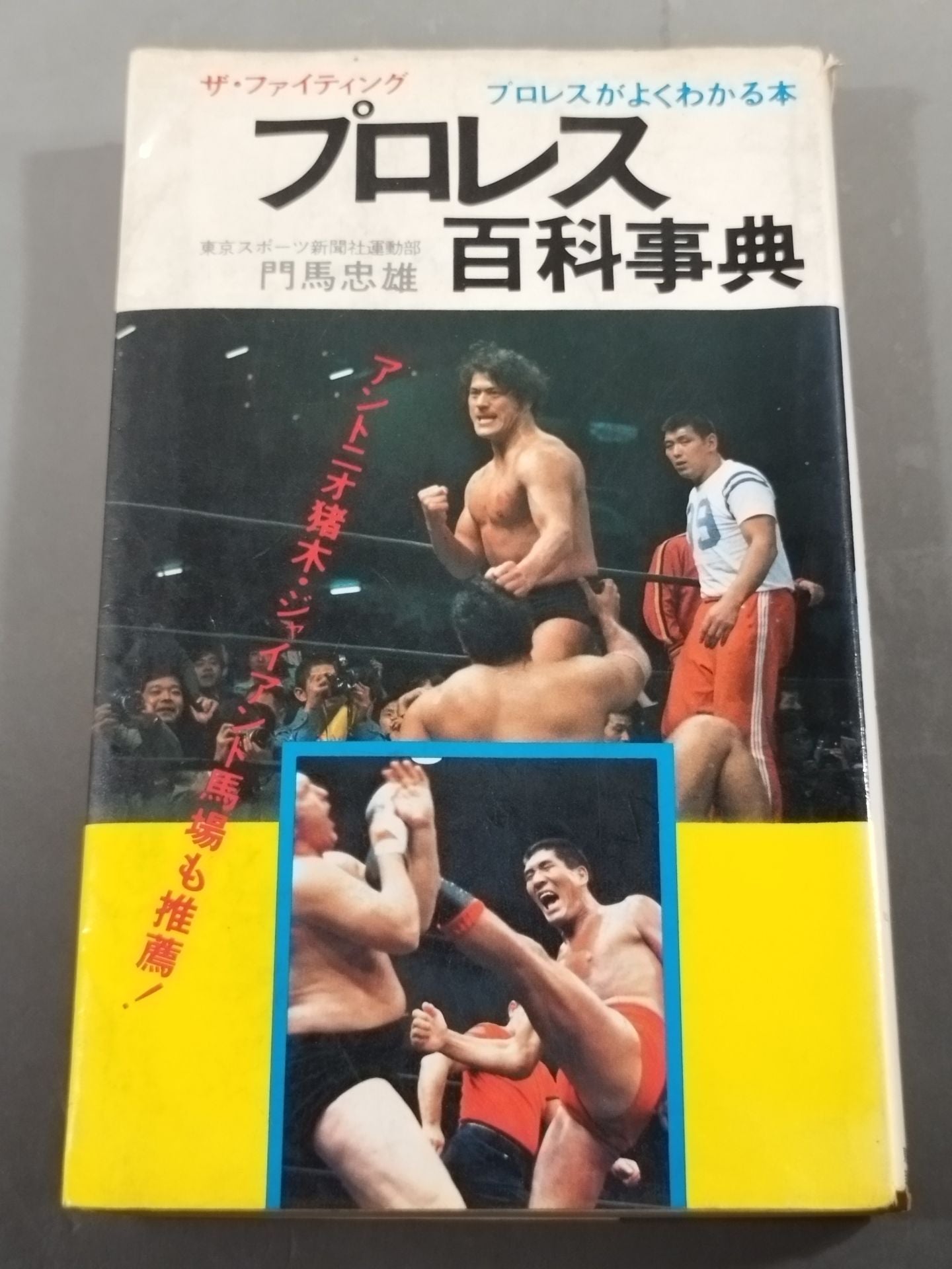 プロレス百科事典 ザ・ファイティング プロレスがよくわかる本