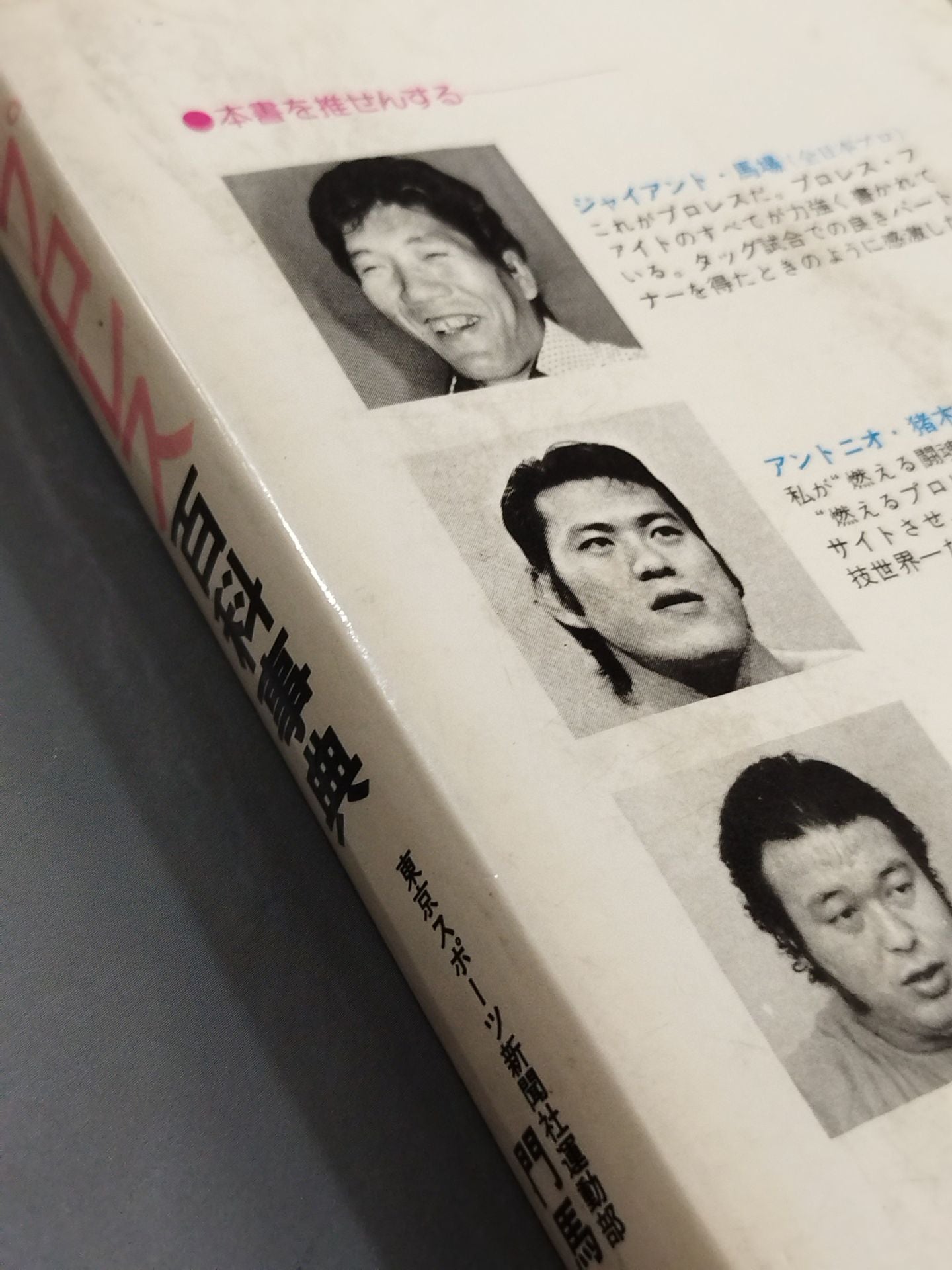 プロレス百科事典 ザ・ファイティング プロレスがよくわかる本