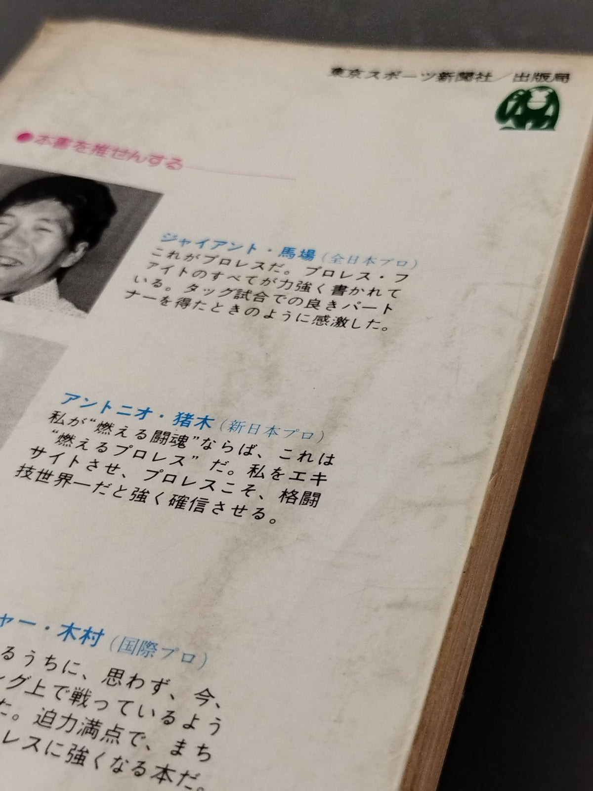 Pro Wrestling Encyclopedia: The Fighting - A Book That Explains Pro Wrestling