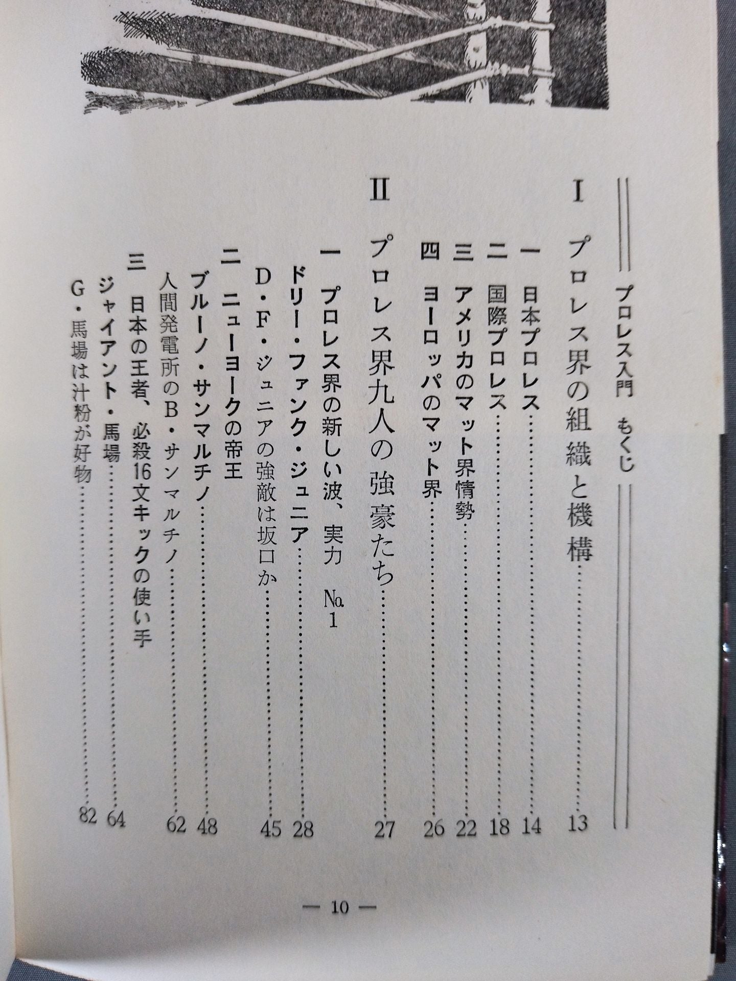 【Junior Introductory Encyclopedia】Strong Pro Wrestling