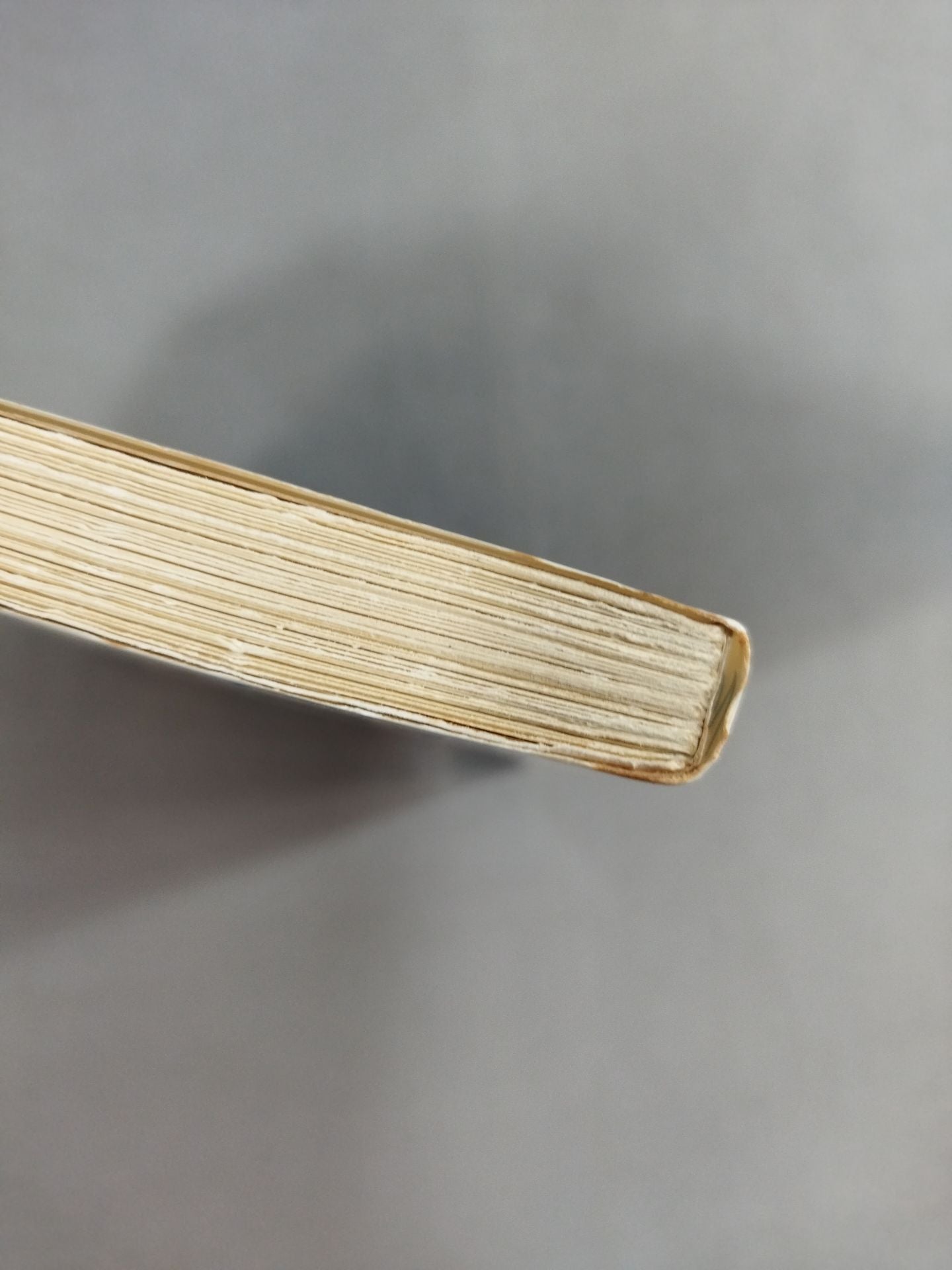 Fans' Book Pro Wrestling Encyclopedia