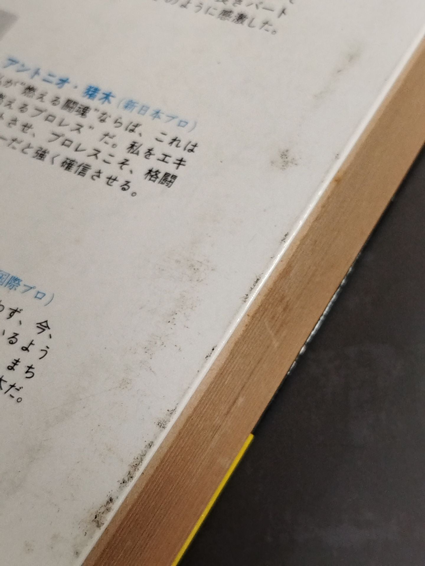 プロレス百科事典 ザ・ファイティング プロレスがよくわかる本