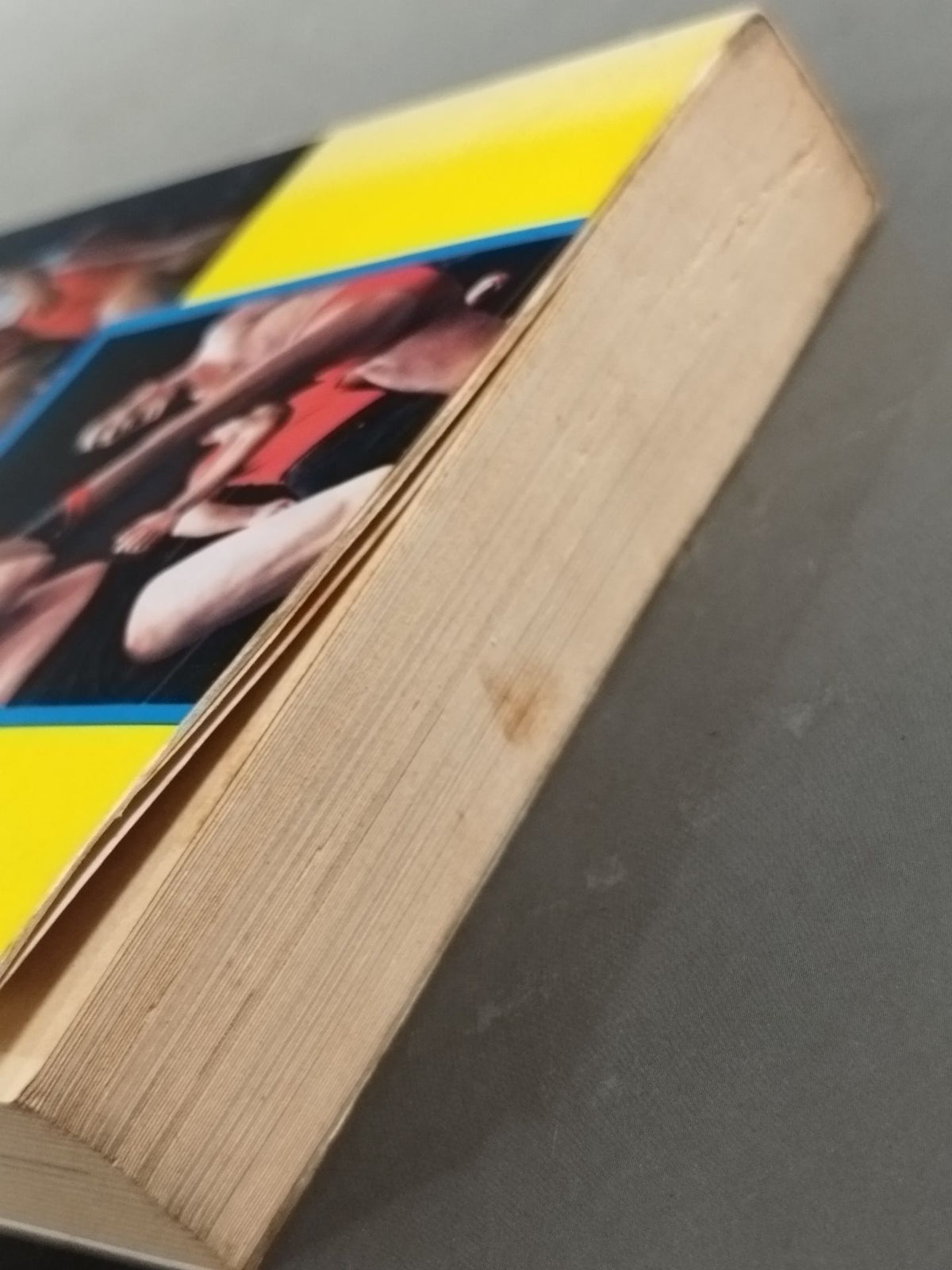 Pro Wrestling Encyclopedia: The Fighting - A Book That Explains Pro Wrestling