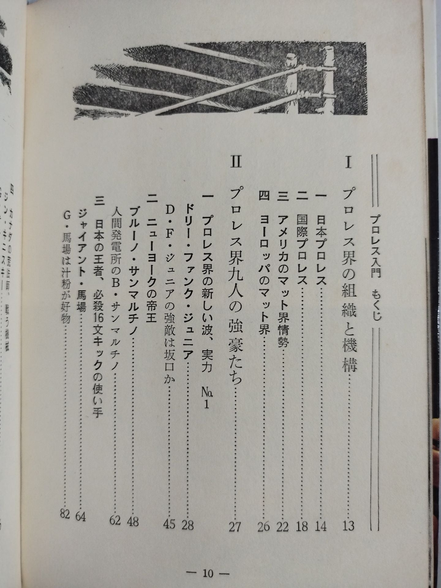 【Junior Introductory Encyclopedia】Strong Pro Wrestling