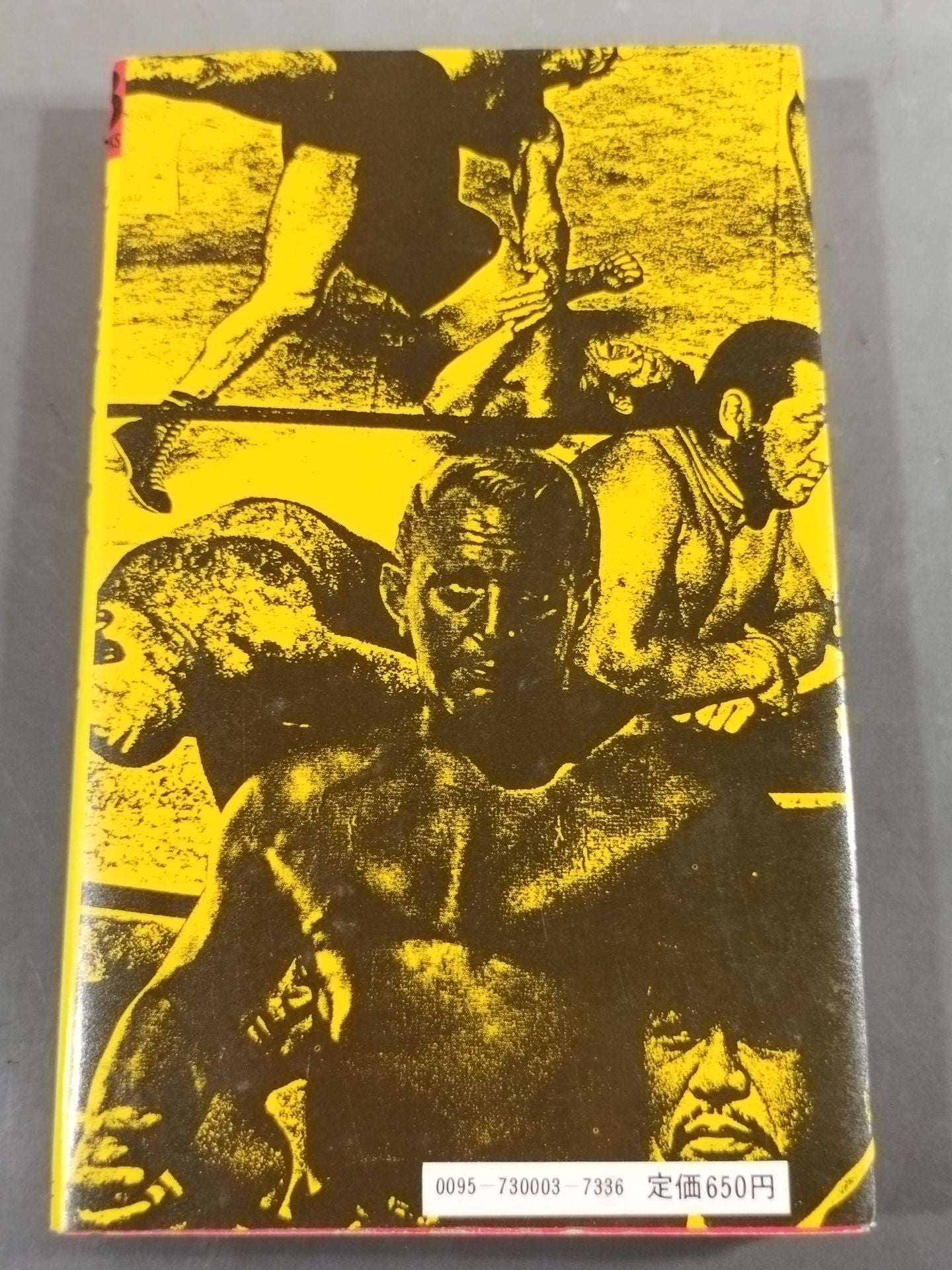 Martial Arts Superstar