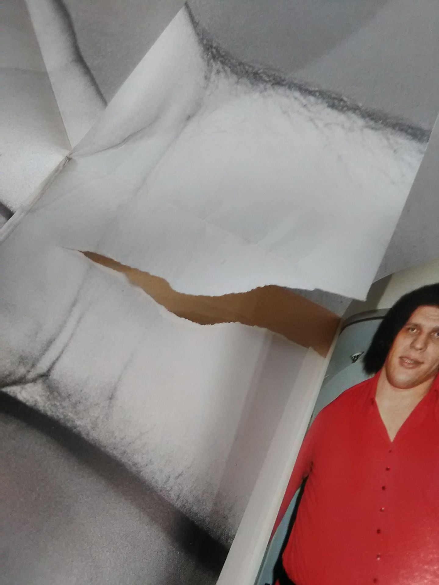 Andre the Giant 's Me Is The World