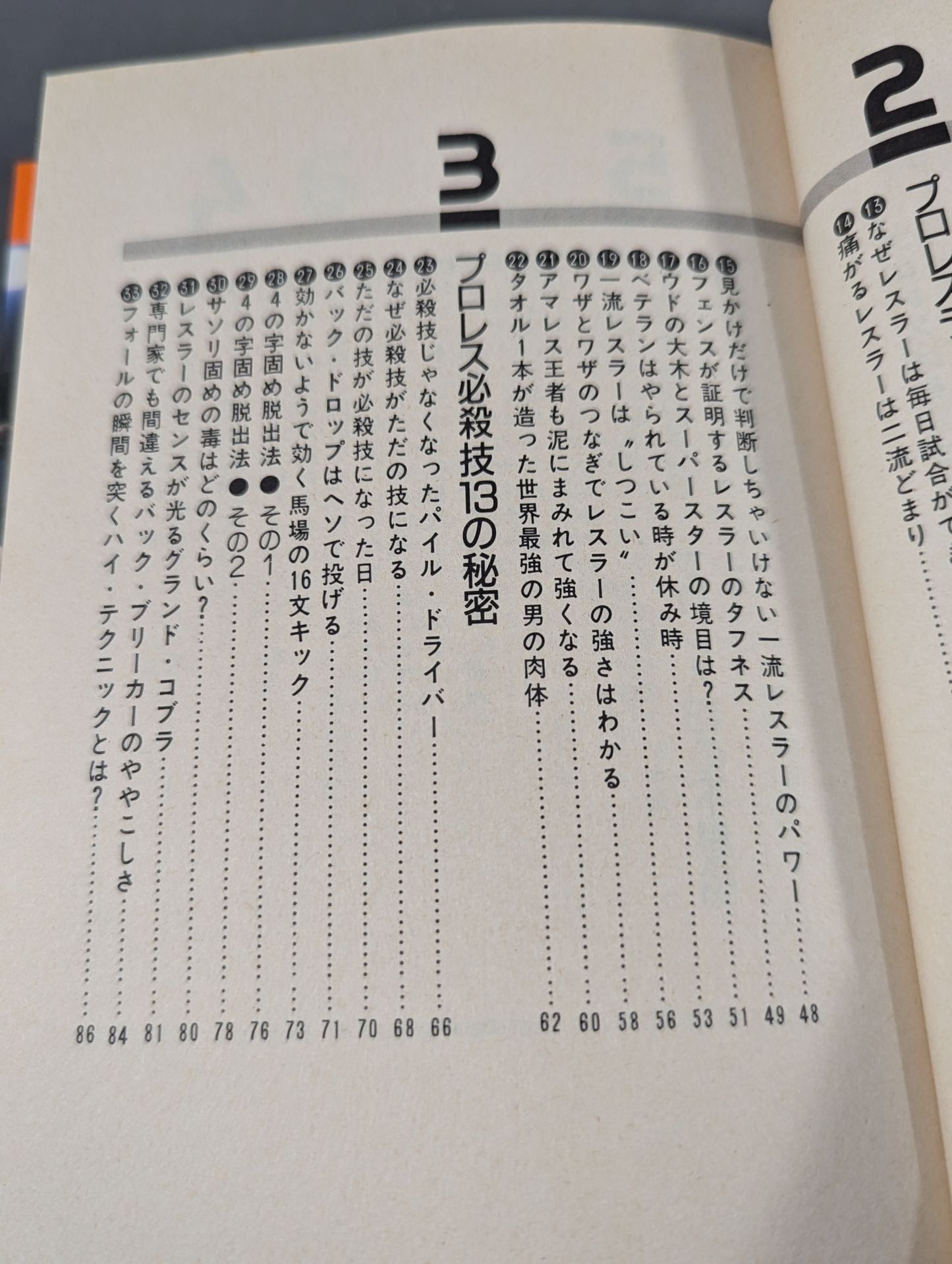 だからプロレスはおもしろい! リングサイドマルヒ100か条