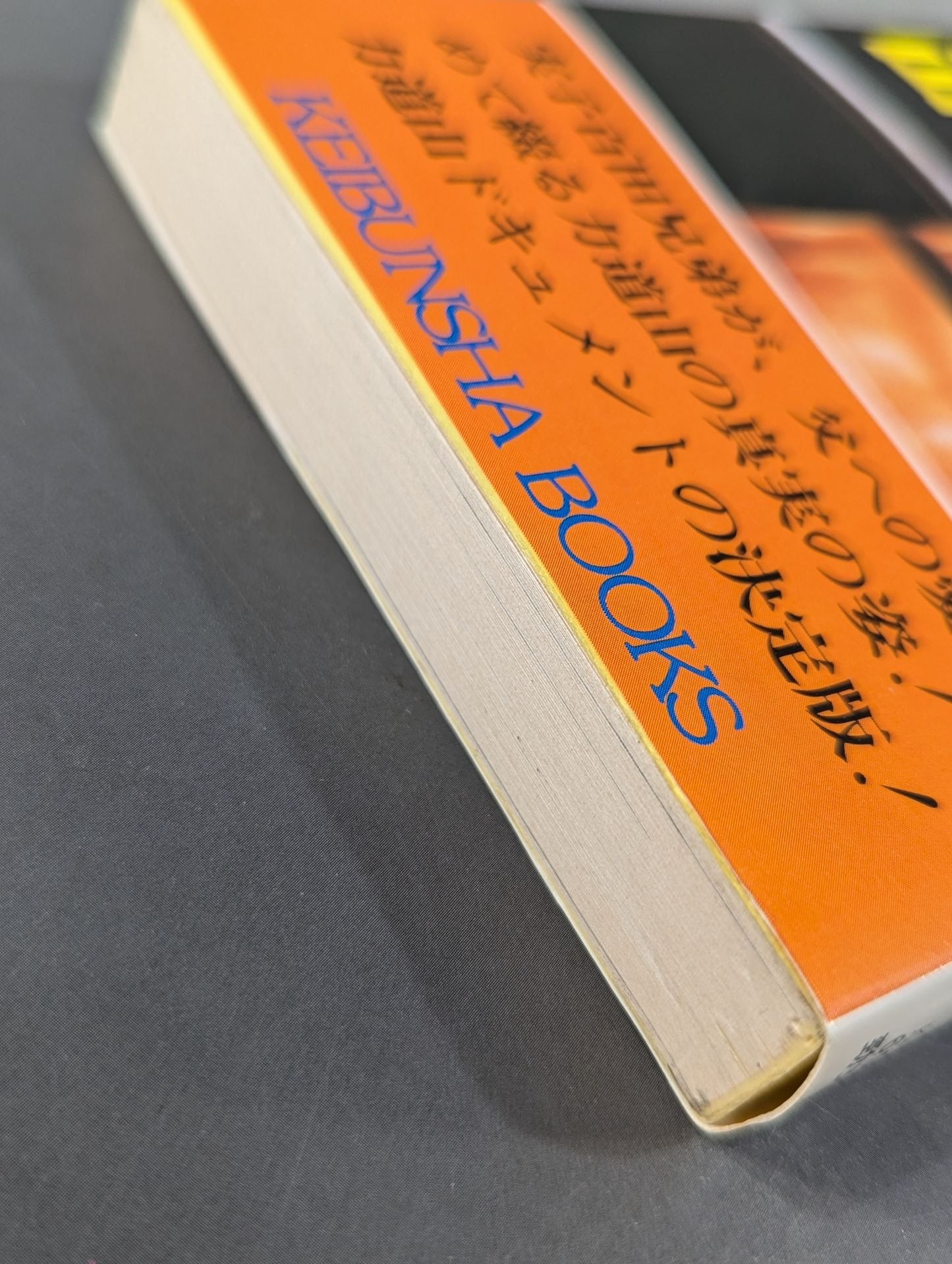 父・力道山 初めて明かす父の実像、父への愛