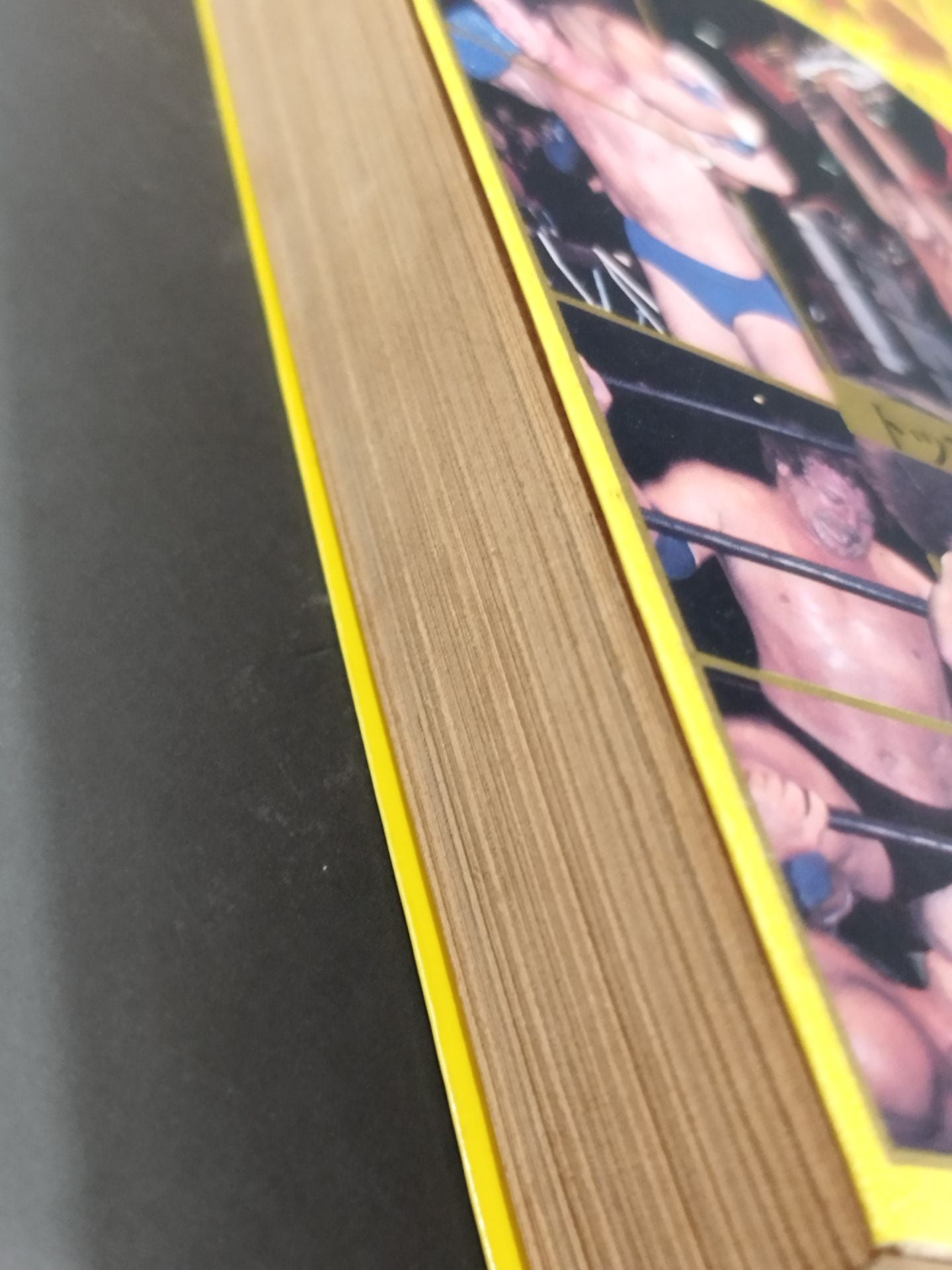 Revised Pro Wrestling Encyclopedia