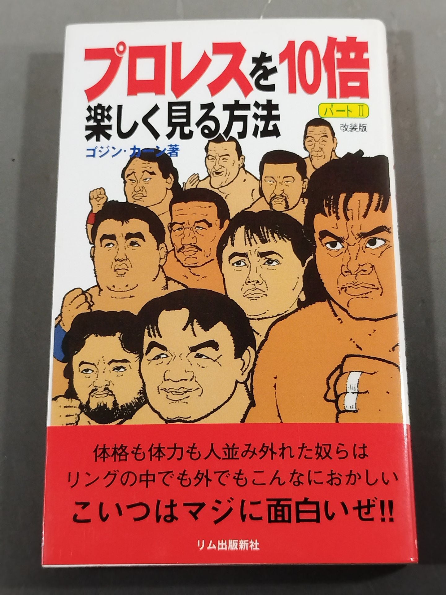 プロレスを10倍楽しく見る方法 パートⅡ改装版