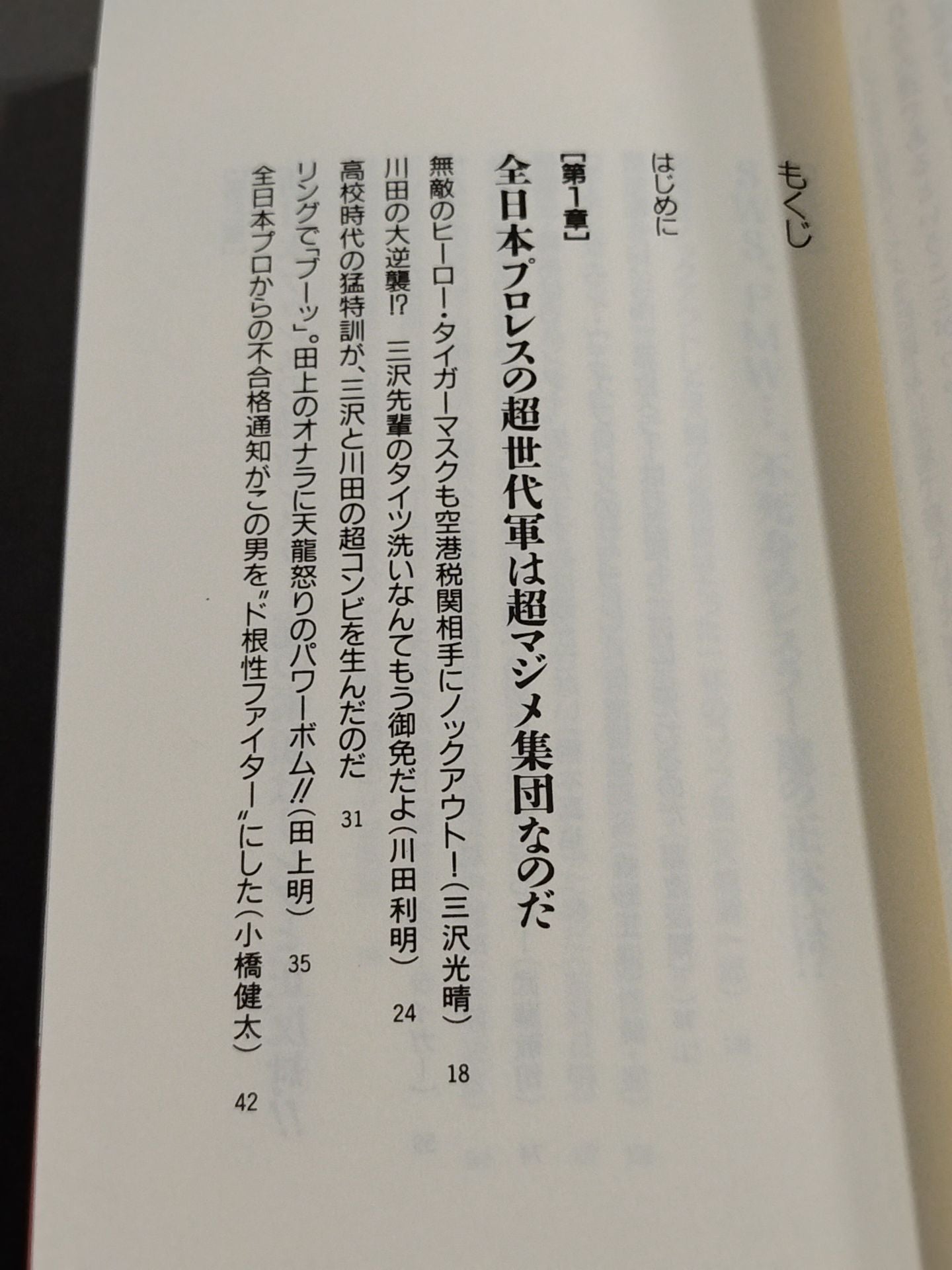 プロレスを10倍楽しく見る方法 パートⅡ改装版