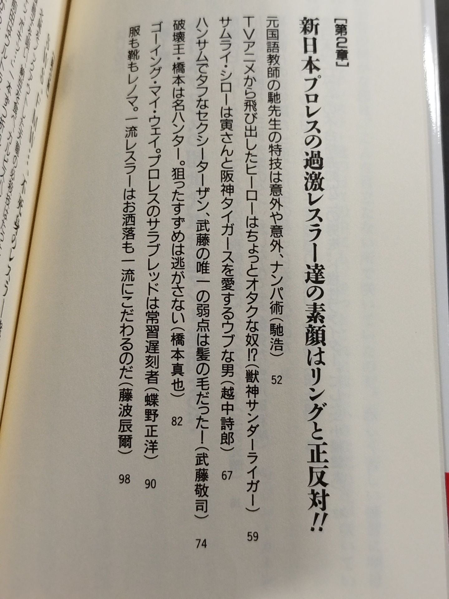 プロレスを10倍楽しく見る方法 パートⅡ改装版