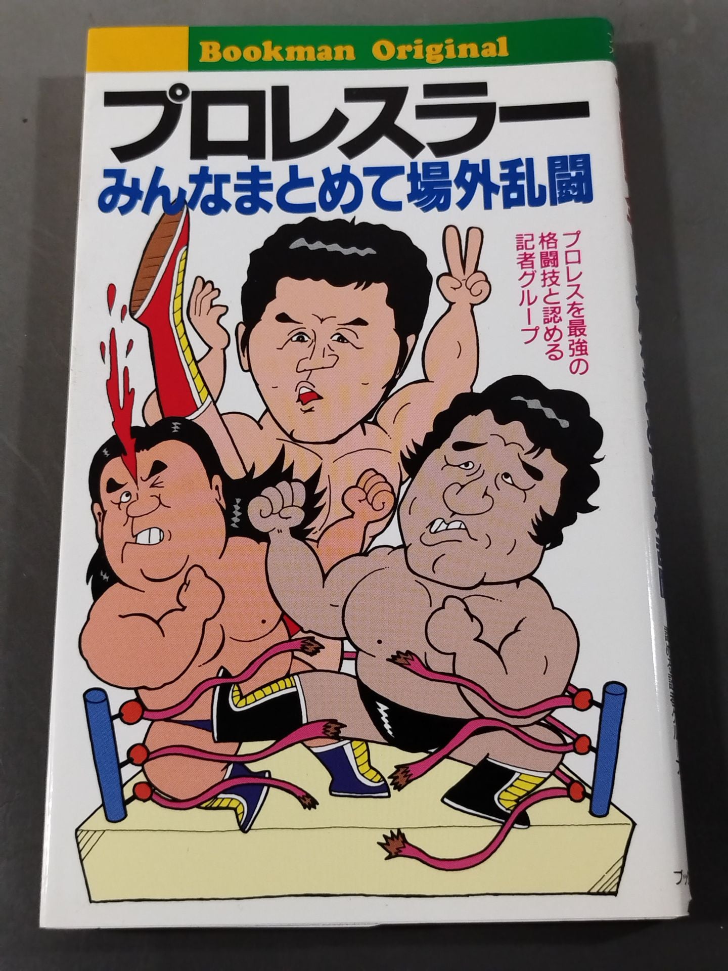 Pro wrestler everyone gets together and brawls off the field