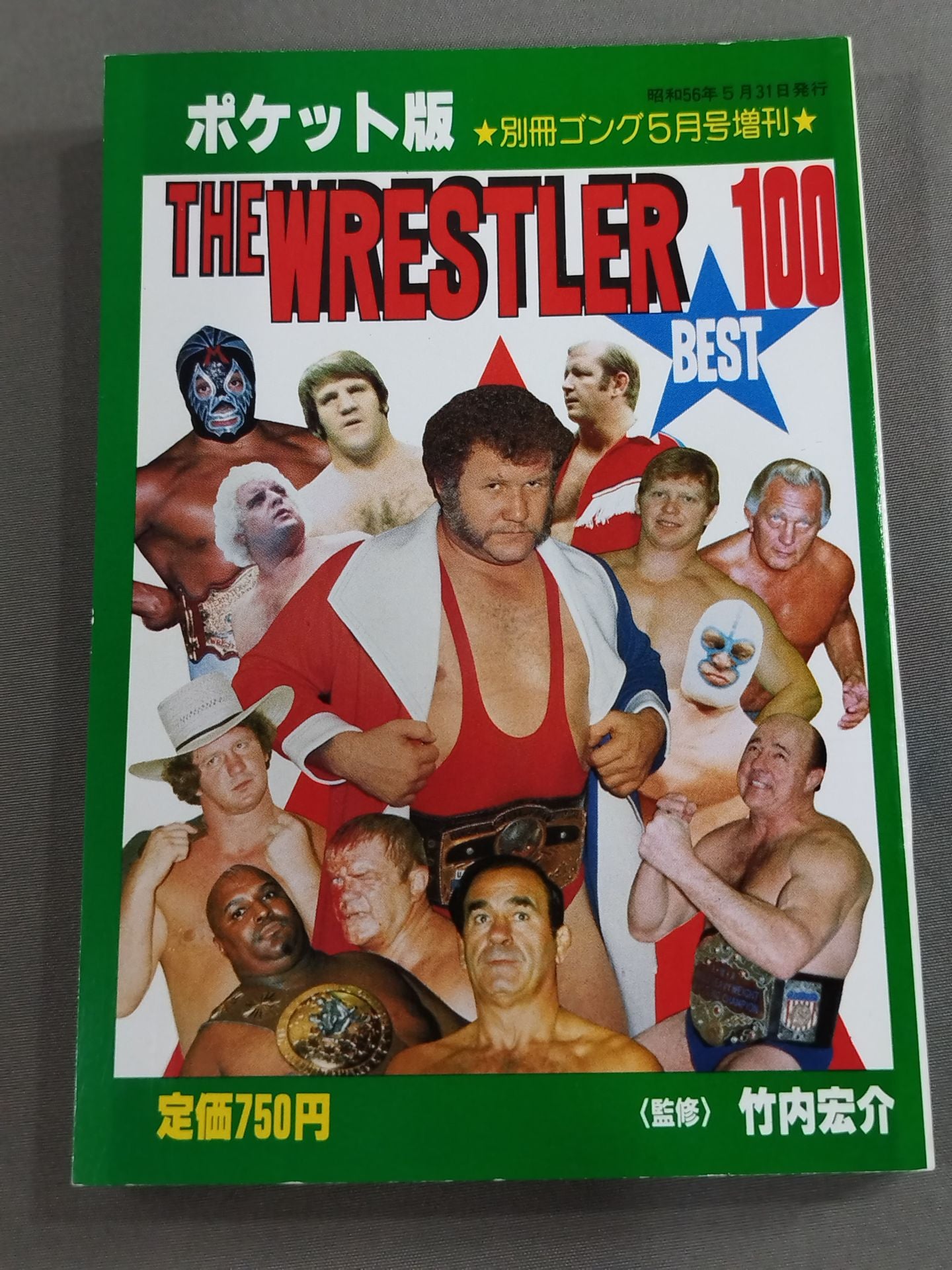 THE WRESTLER BEST 100 (Pocket Edition)