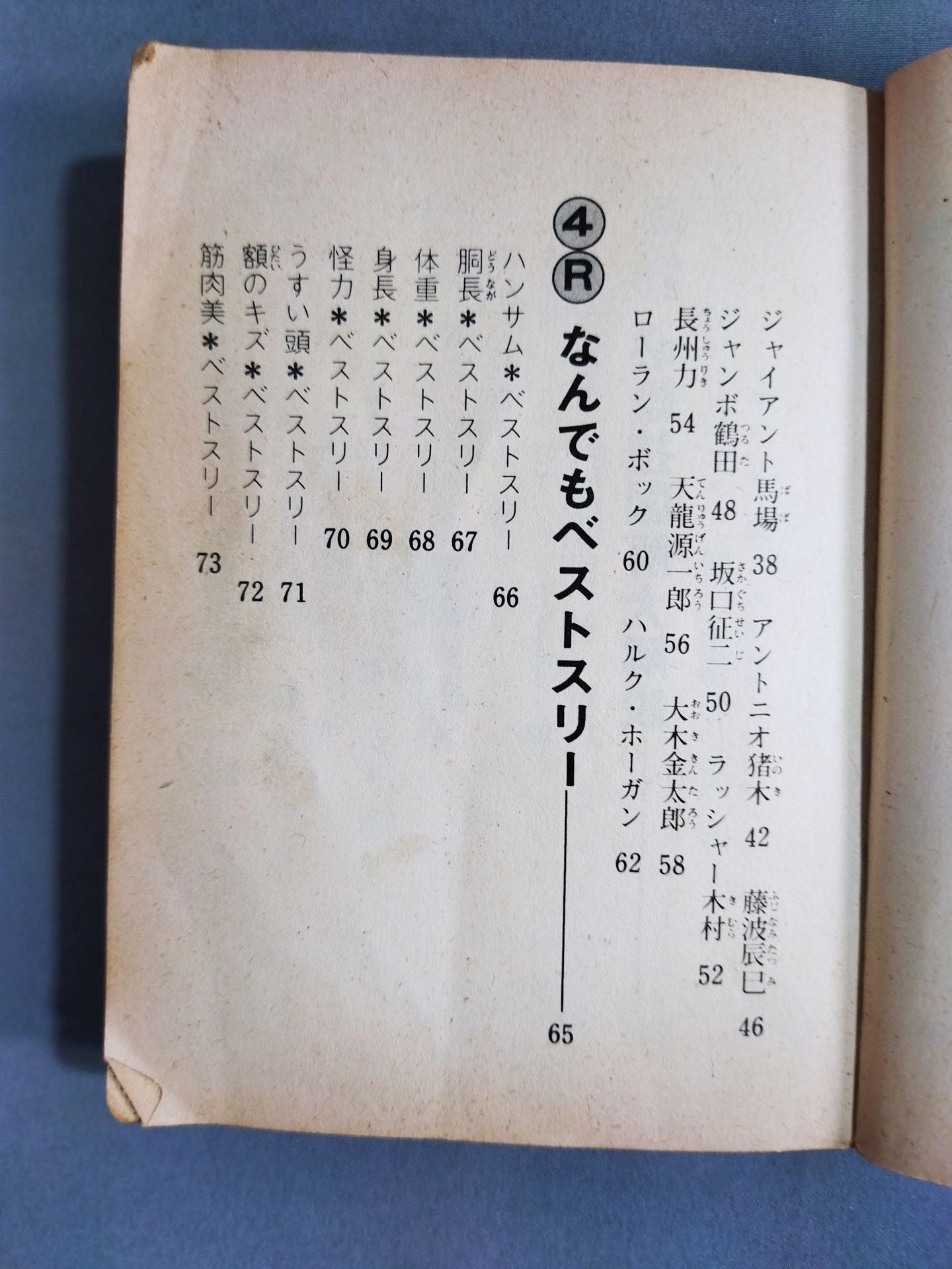 プロレス大好き! 豆たぬきの本176