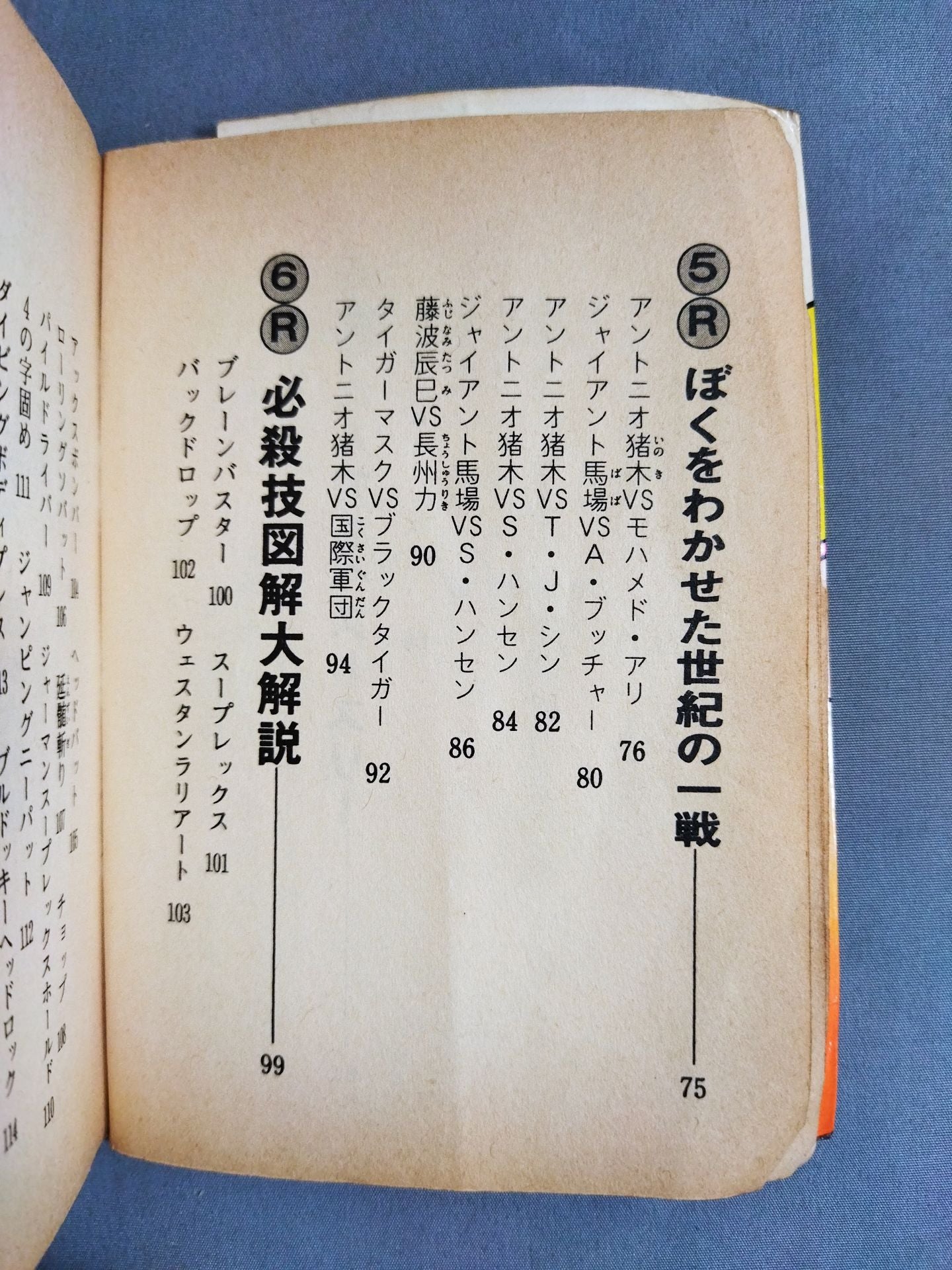 プロレス大好き! 豆たぬきの本176