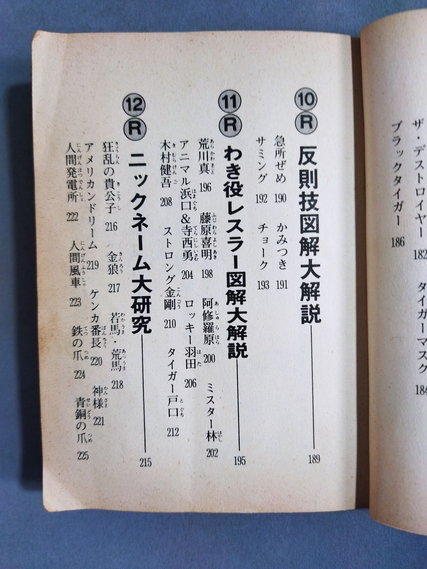 プロレス大好き! 豆たぬきの本176