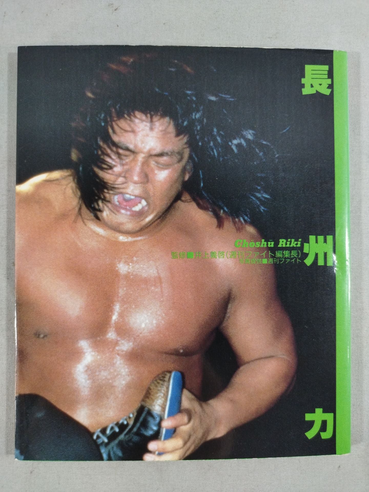 プロレス写真文庫3 長州力