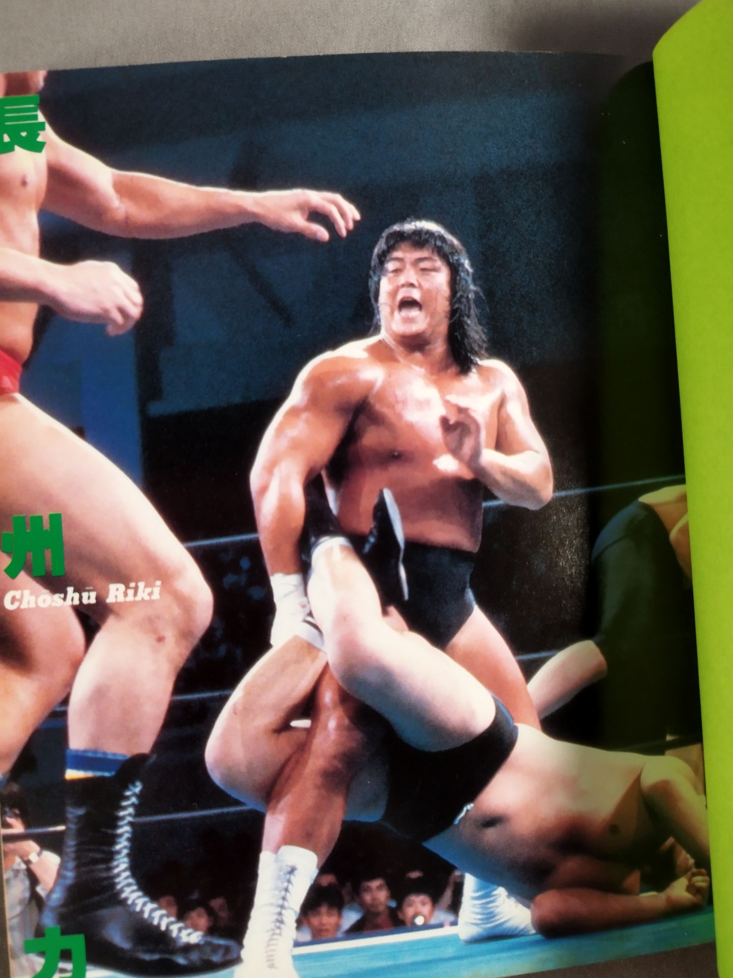 プロレス写真文庫3 長州力