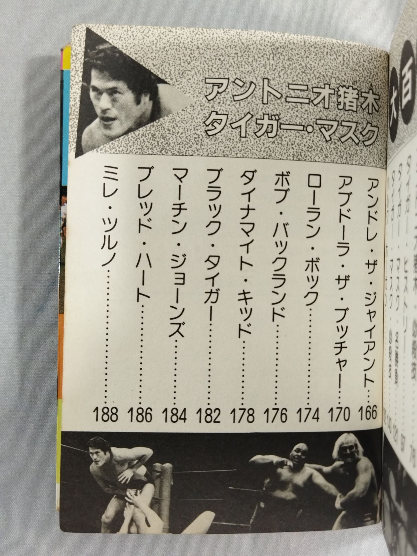 Antonio Inoki Tiger Mask Encyclopedia