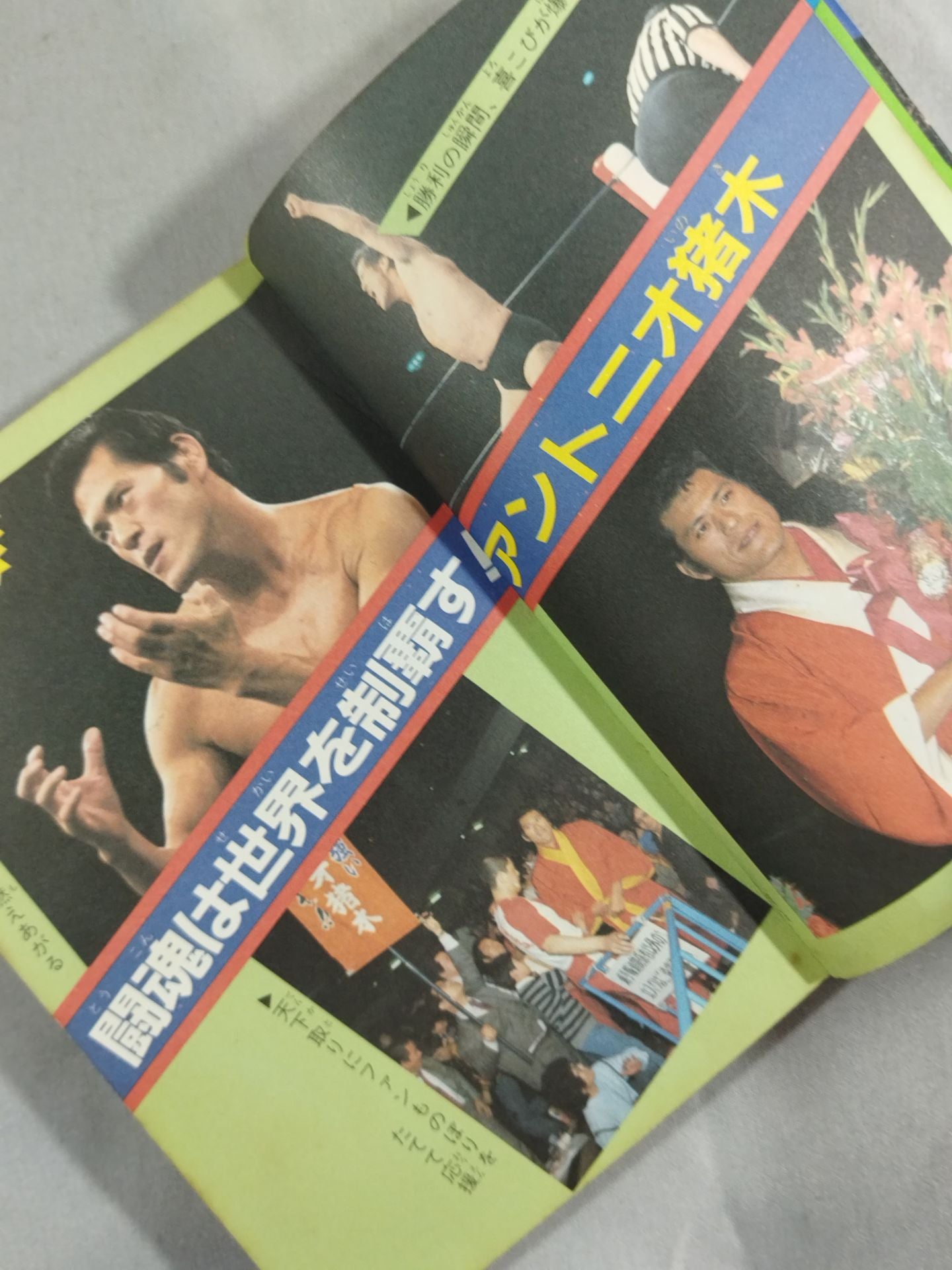 Antonio Inoki Tiger Mask Encyclopedia