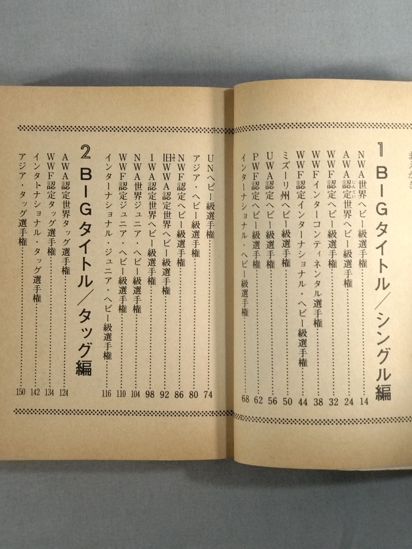 Pro Wrestling Super Title Match Bean Tanuki Book 187