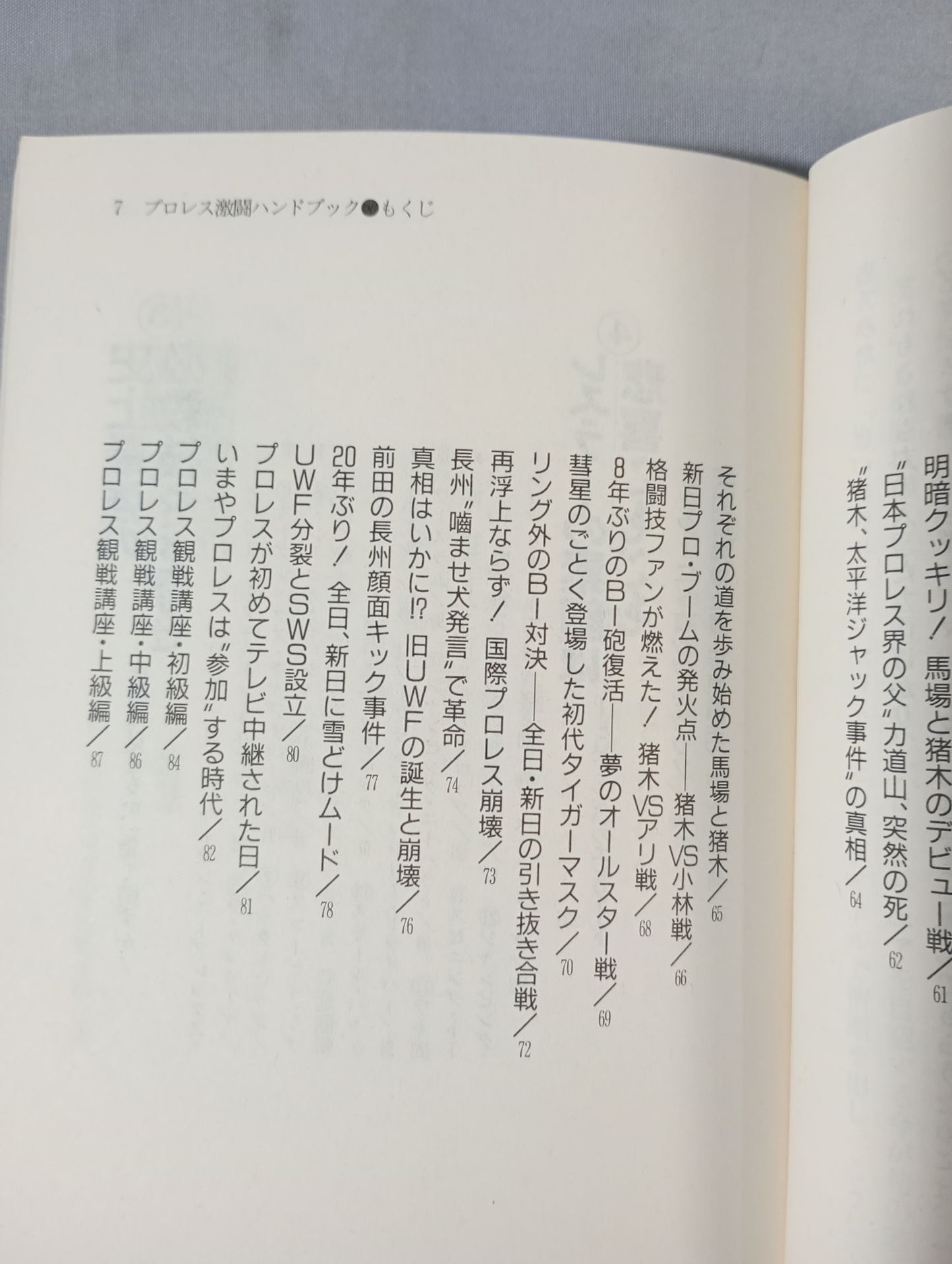 完全保存版 プロレス激闘ハンドブック 燃える男たちの全記録