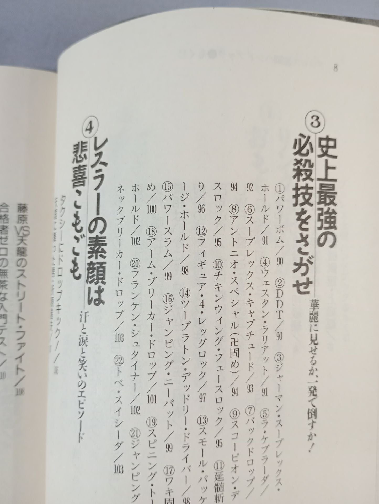 完全保存版 プロレス激闘ハンドブック 燃える男たちの全記録