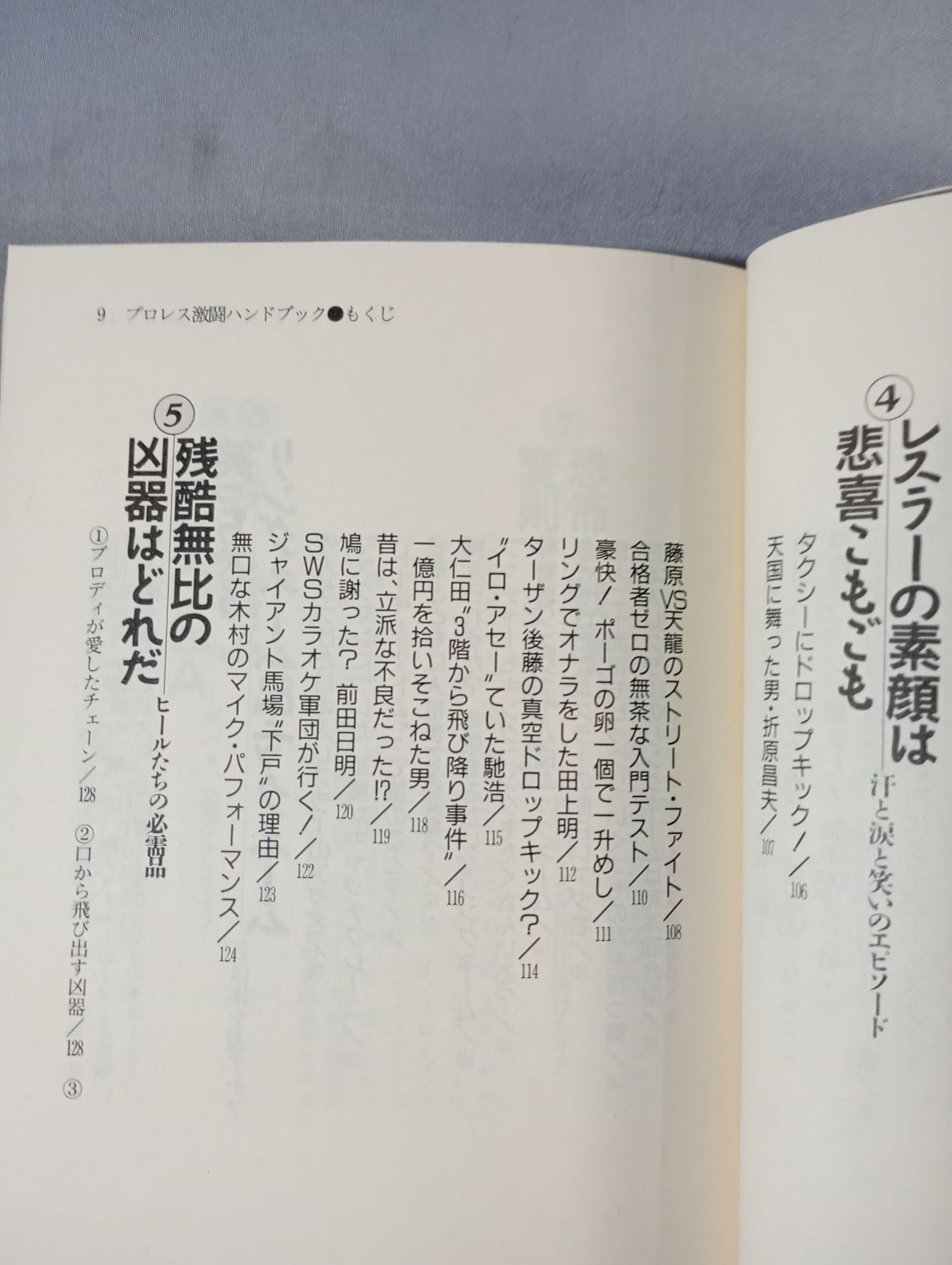 完全保存版 プロレス激闘ハンドブック 燃える男たちの全記録