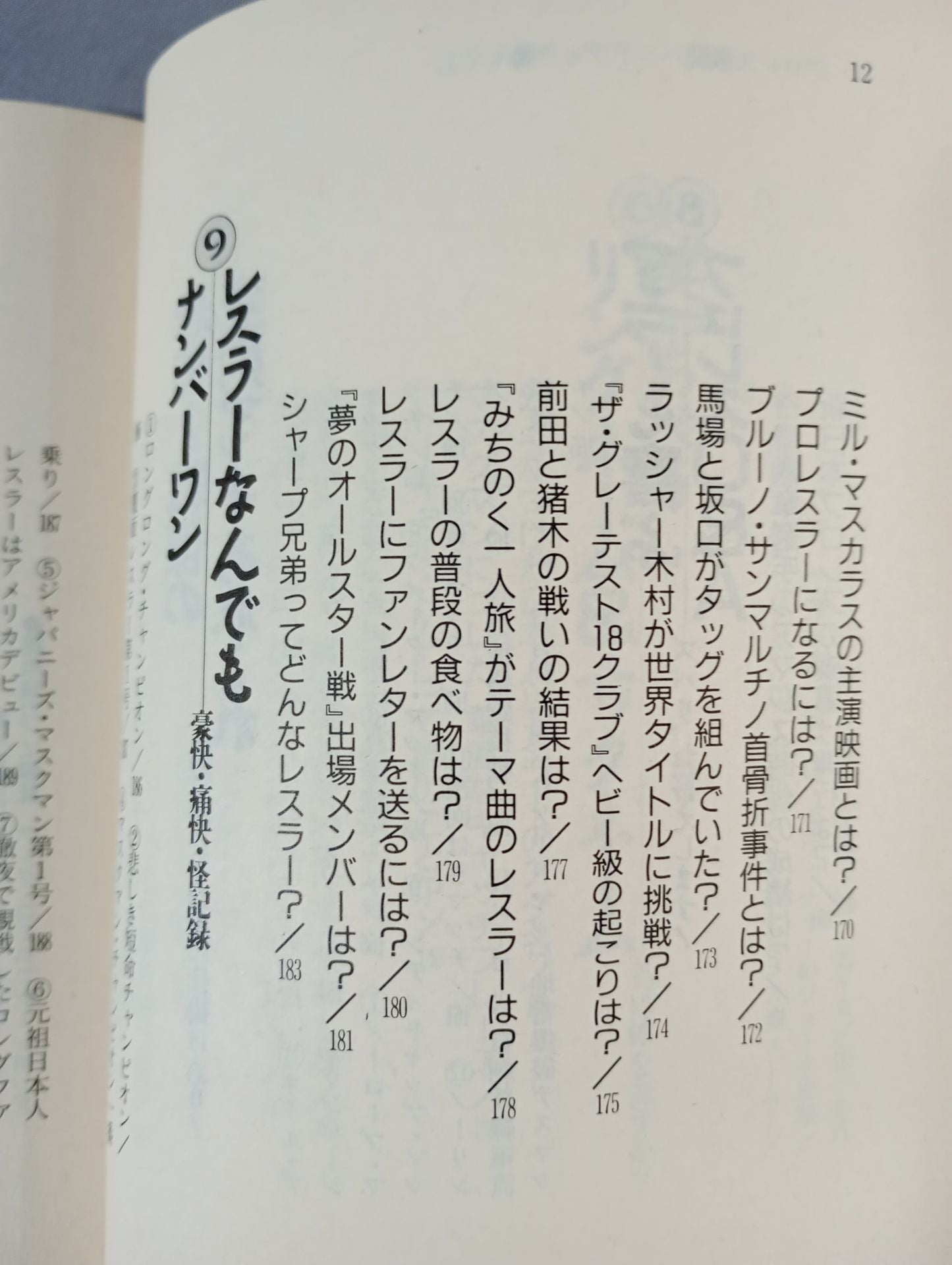 完全保存版 プロレス激闘ハンドブック 燃える男たちの全記録