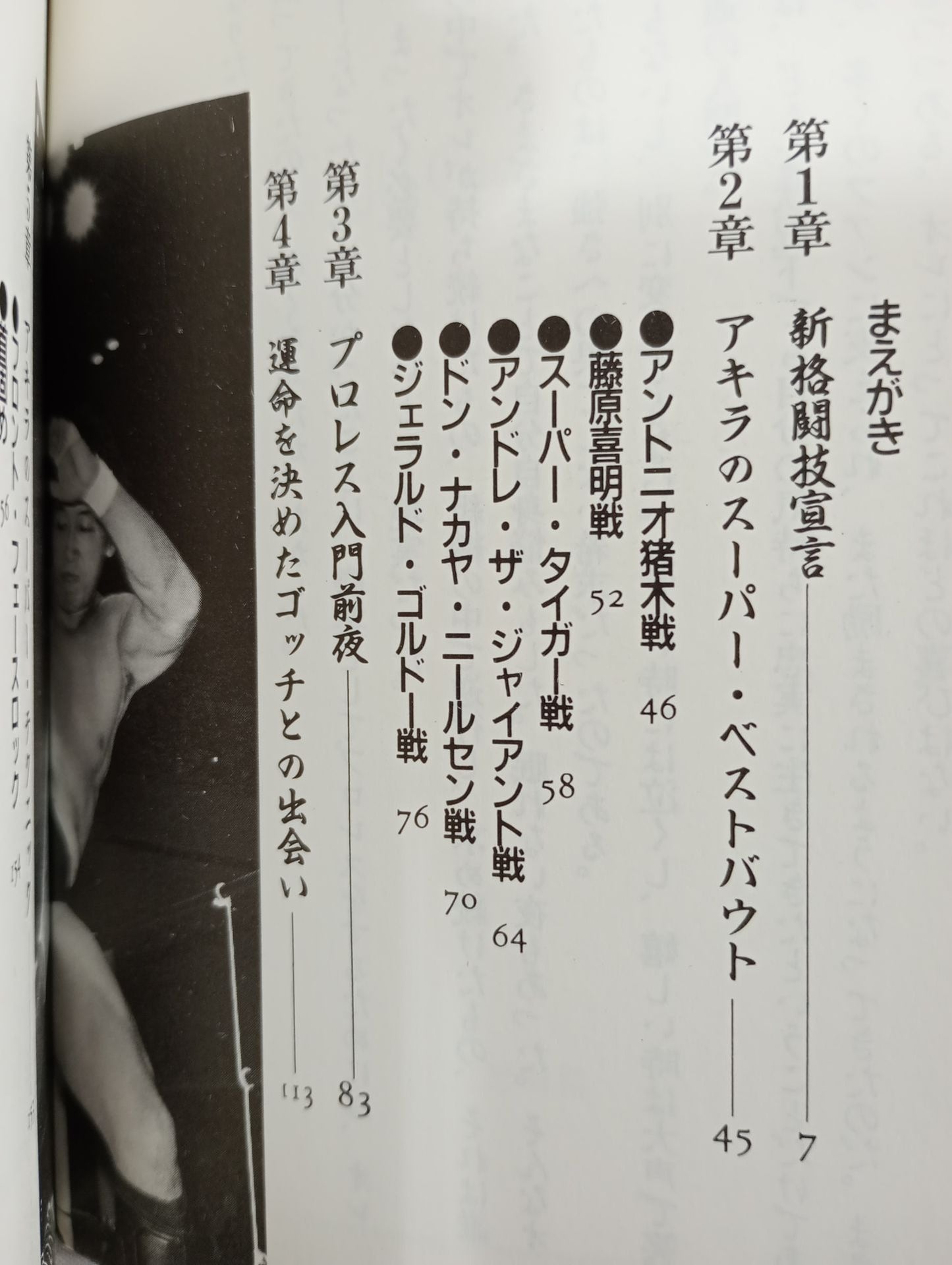 Challenge to the Fighting King