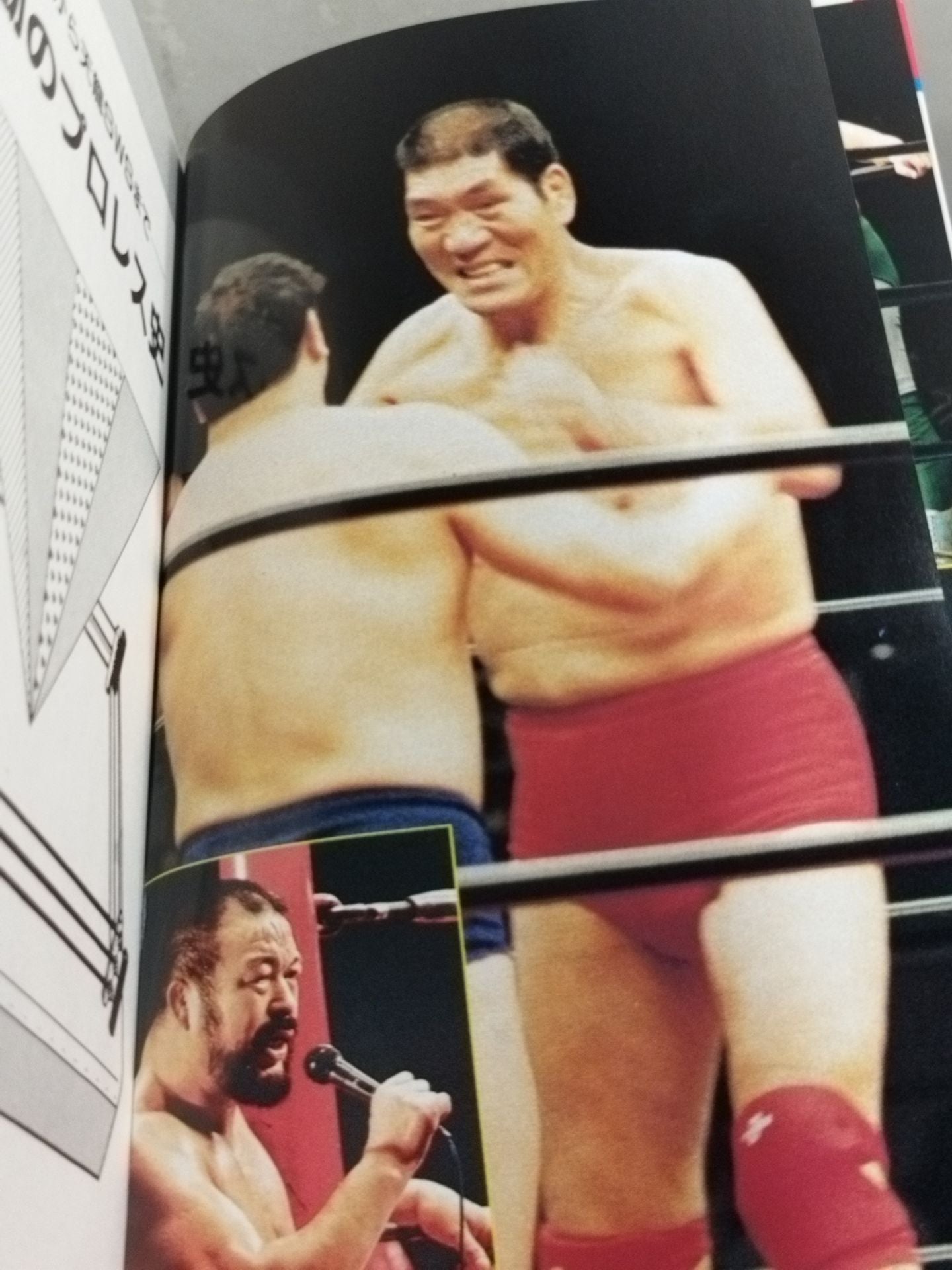 最新プロレス大図鑑⑤王道☆全日本プロレス