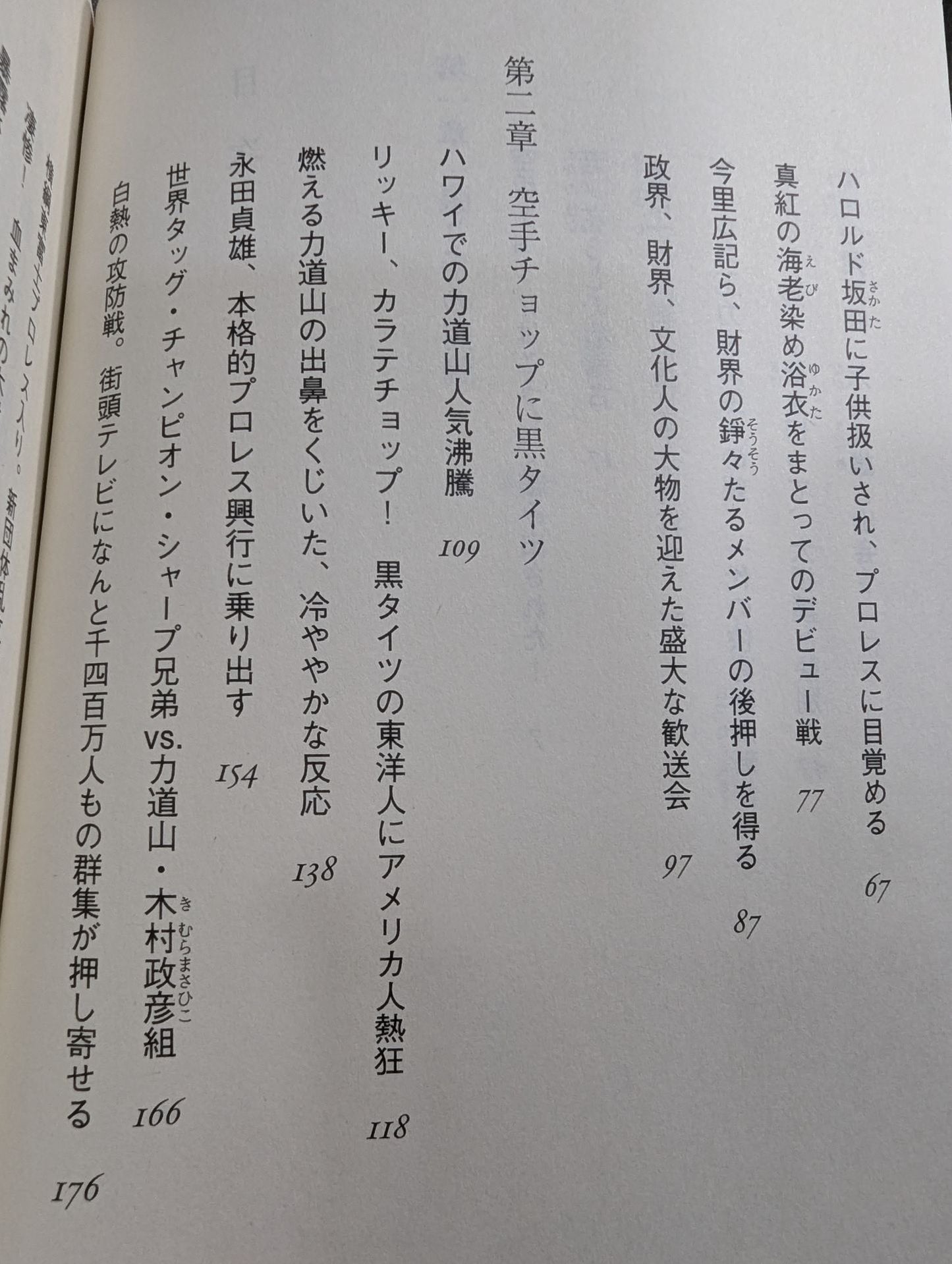 The Truth About Rikidoyama