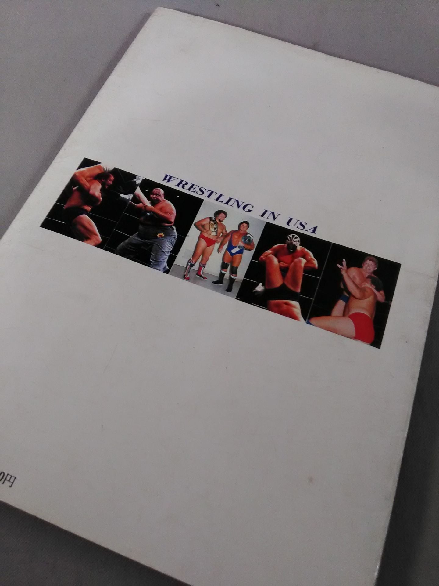 写真集 激闘・全米プロレス 本場マット界の最新情報を鮮血特写