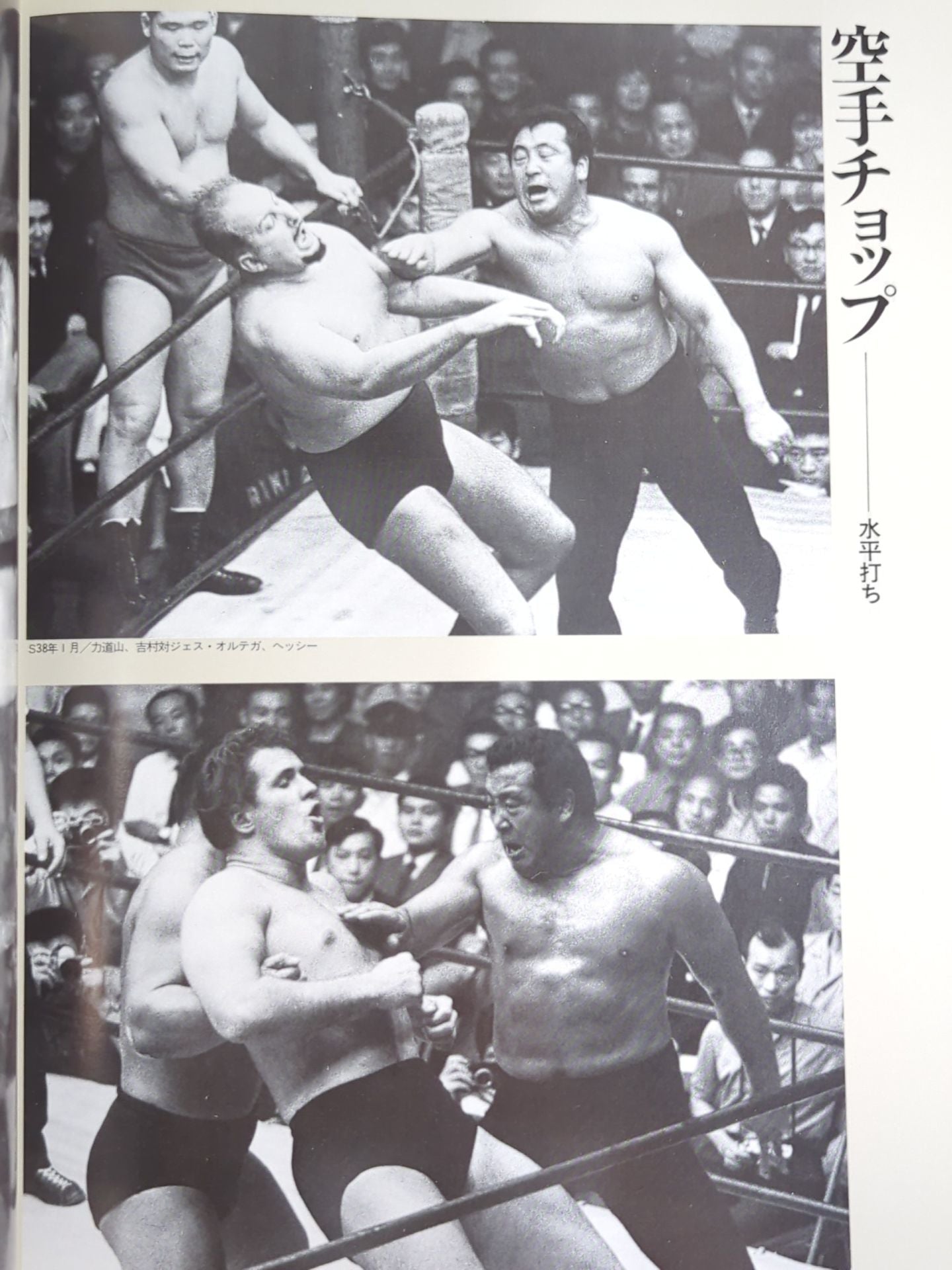 The Rikidozan Hero of the Ages RikidozanPhoto Collection