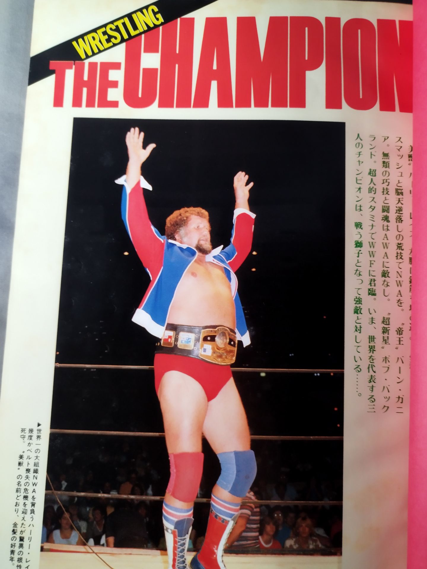写真集 激闘・全米プロレス 本場マット界の最新情報を鮮血特写