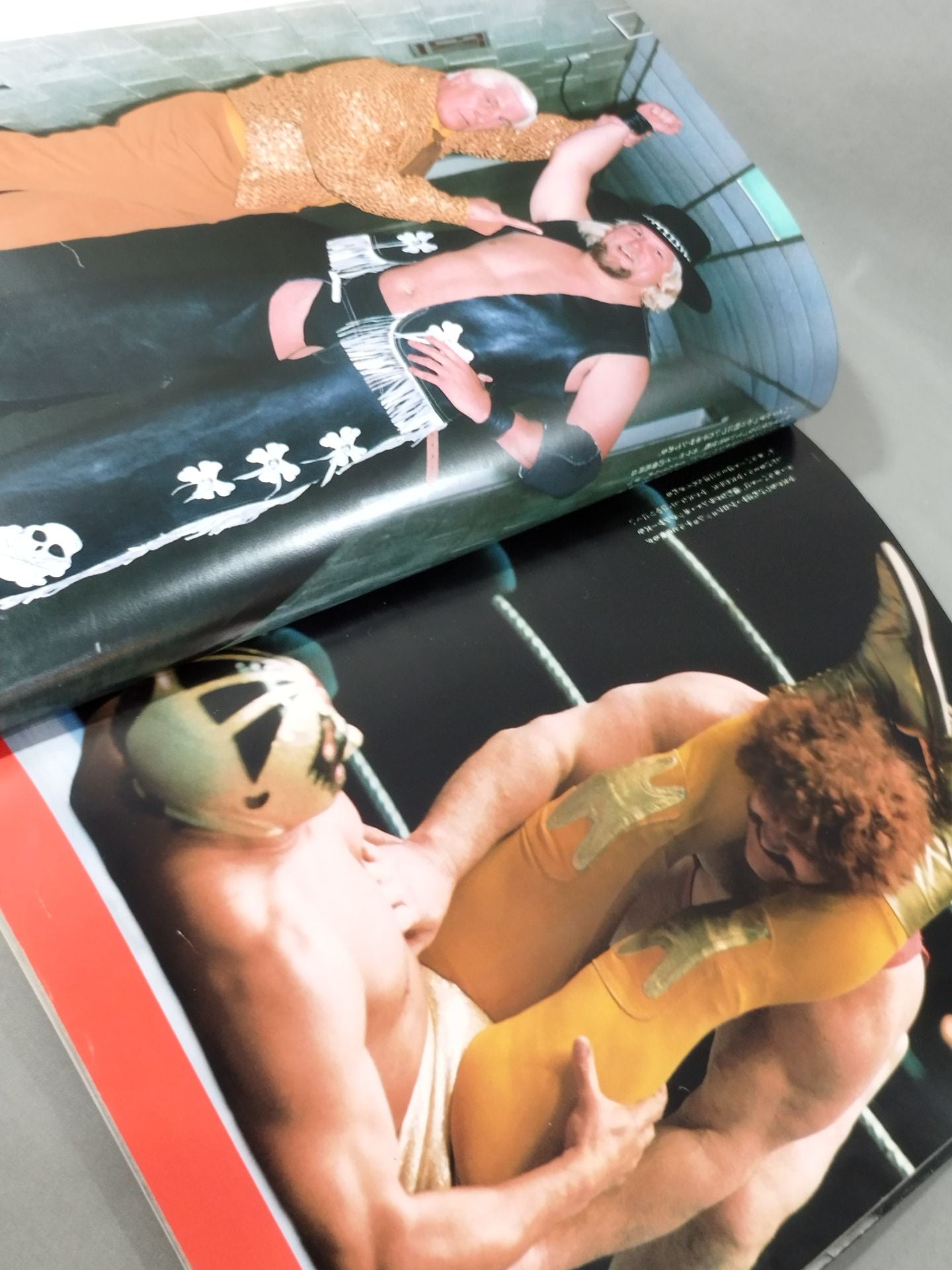 写真集 激闘M.S.G.全米プロレスマジソンスクェアガーデン