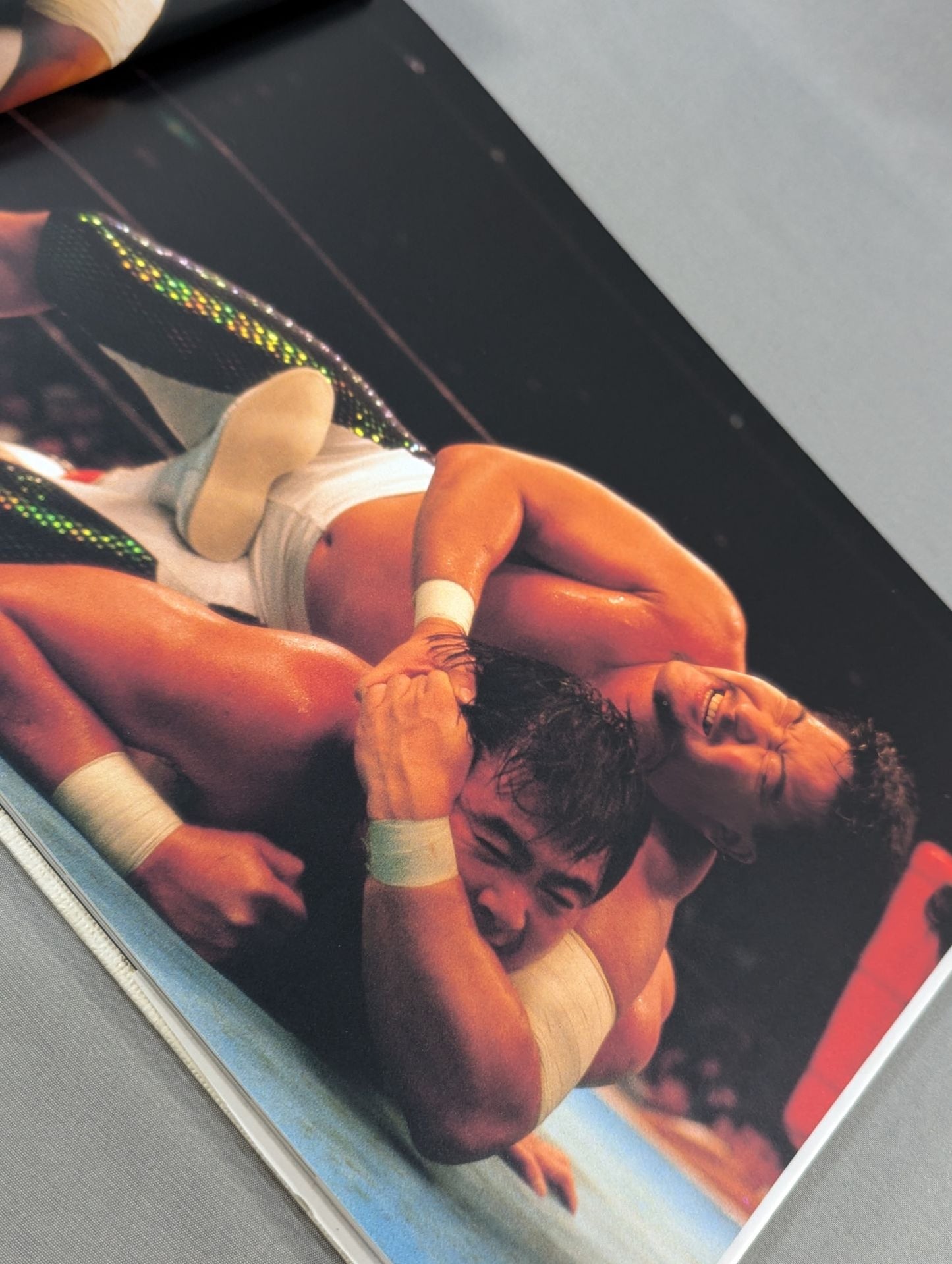New Japan Pro Wrestling Pro-wrestling PHOTO THE BATTLE of 21st