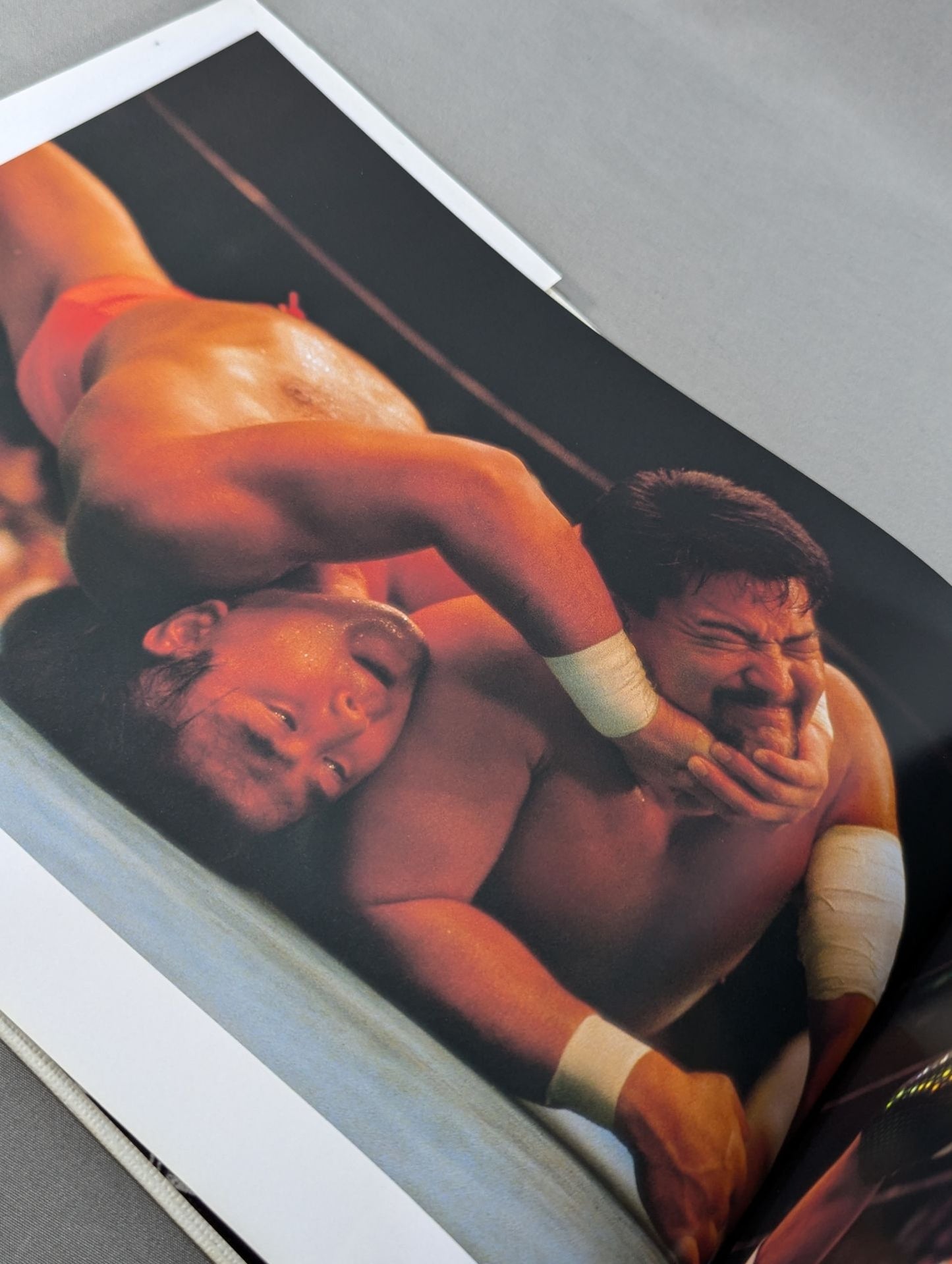 New Japan Pro Wrestling Pro-wrestling PHOTO THE BATTLE of 21st