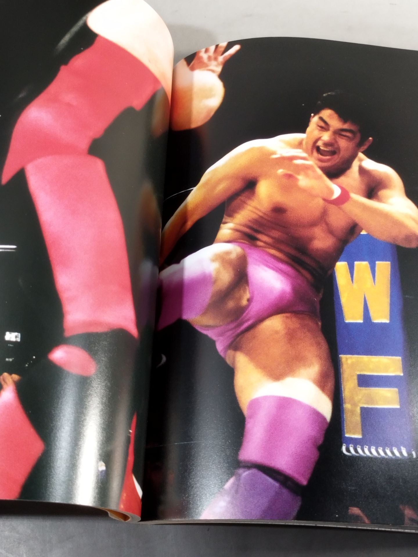 高田延彦写真集 ALL FOR WIN