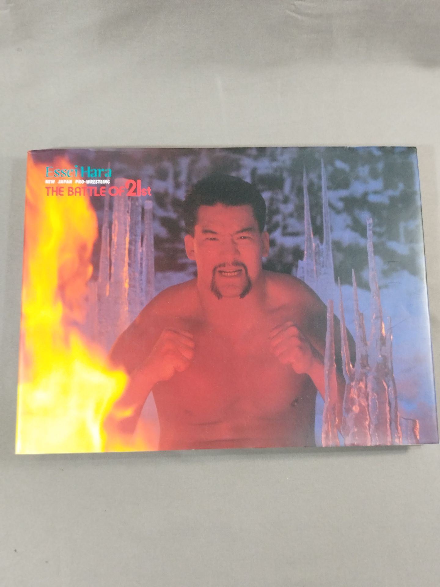 New Japan Pro Wrestling Pro-wrestling PHOTO THE BATTLE of 21st