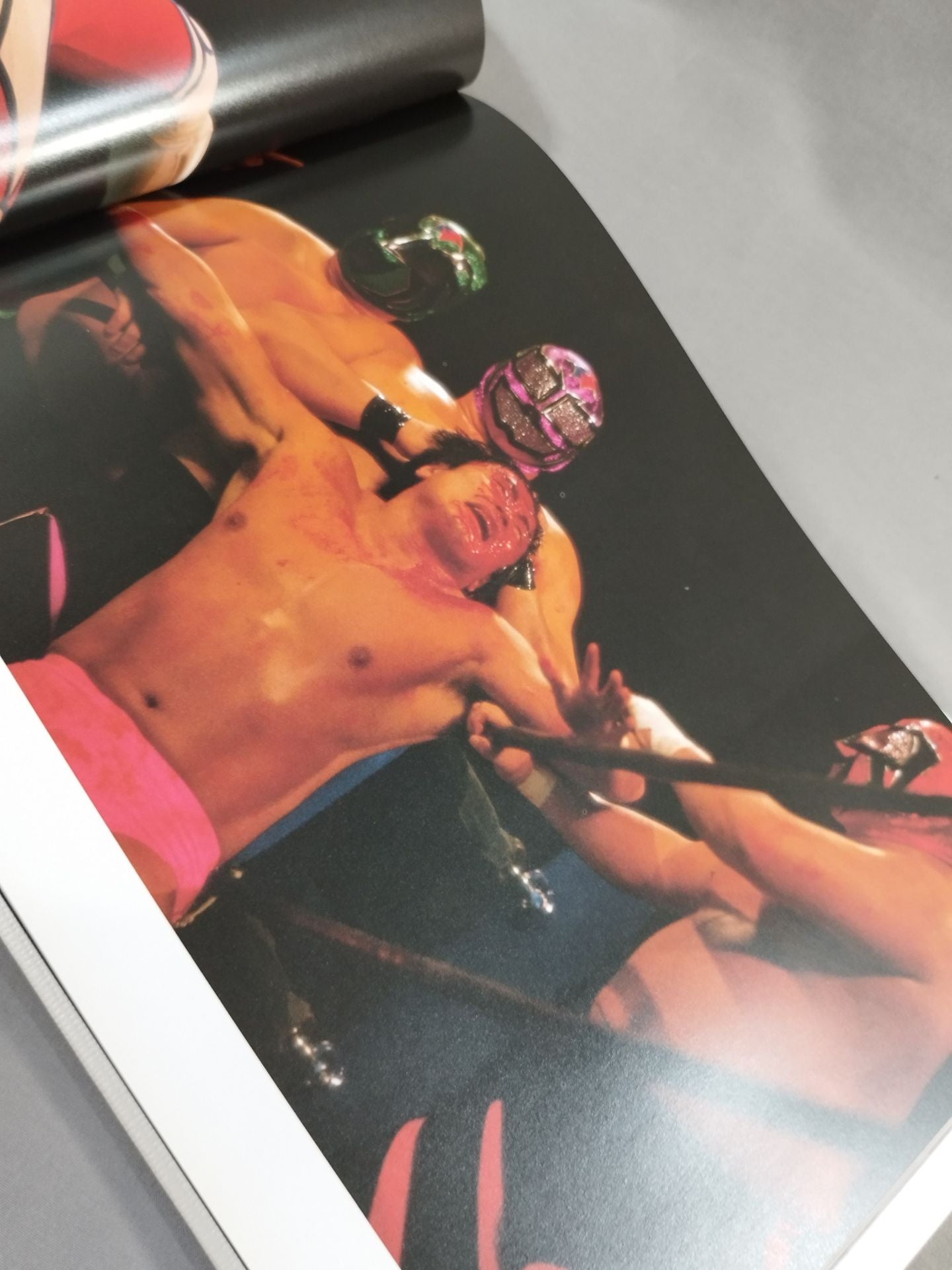 New Japan Pro Wrestling Pro-wrestling PHOTO THE BATTLE of 21st