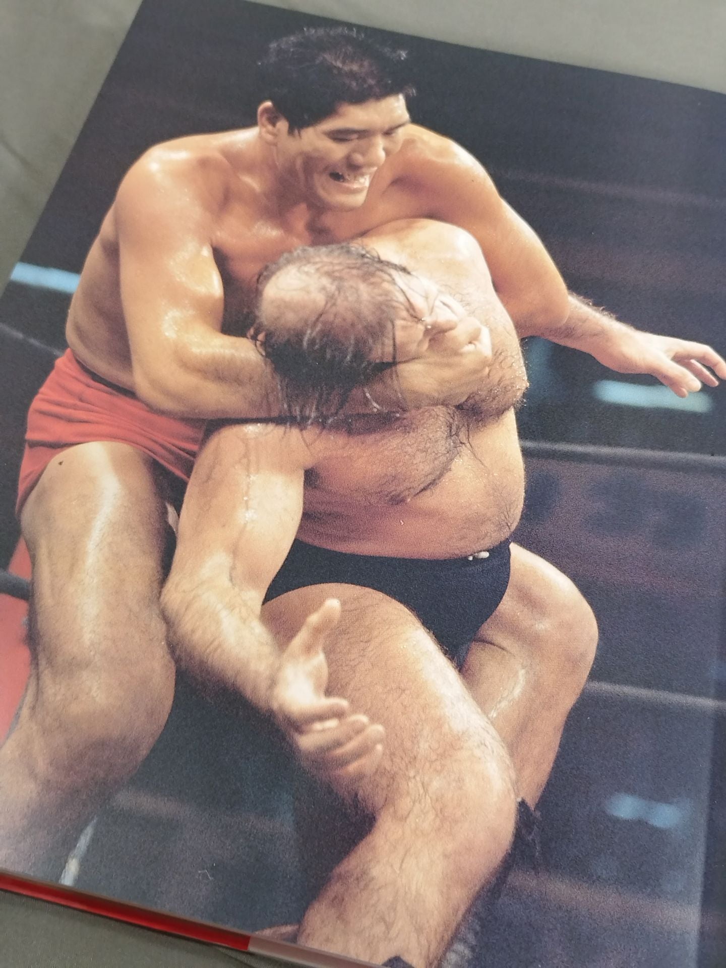 Giant Baba Permanent Edition Photo Collection