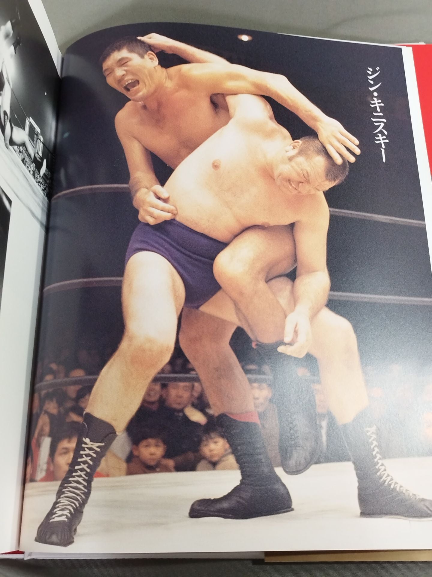 Giant Baba Permanent Edition Photo Collection
