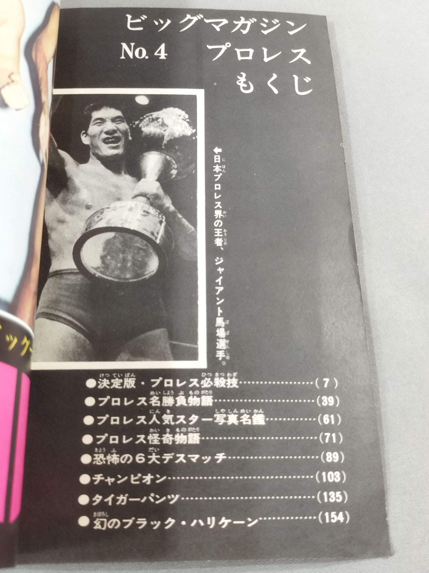 Big Magazine NO.4 ★ Pro Wrestling ★