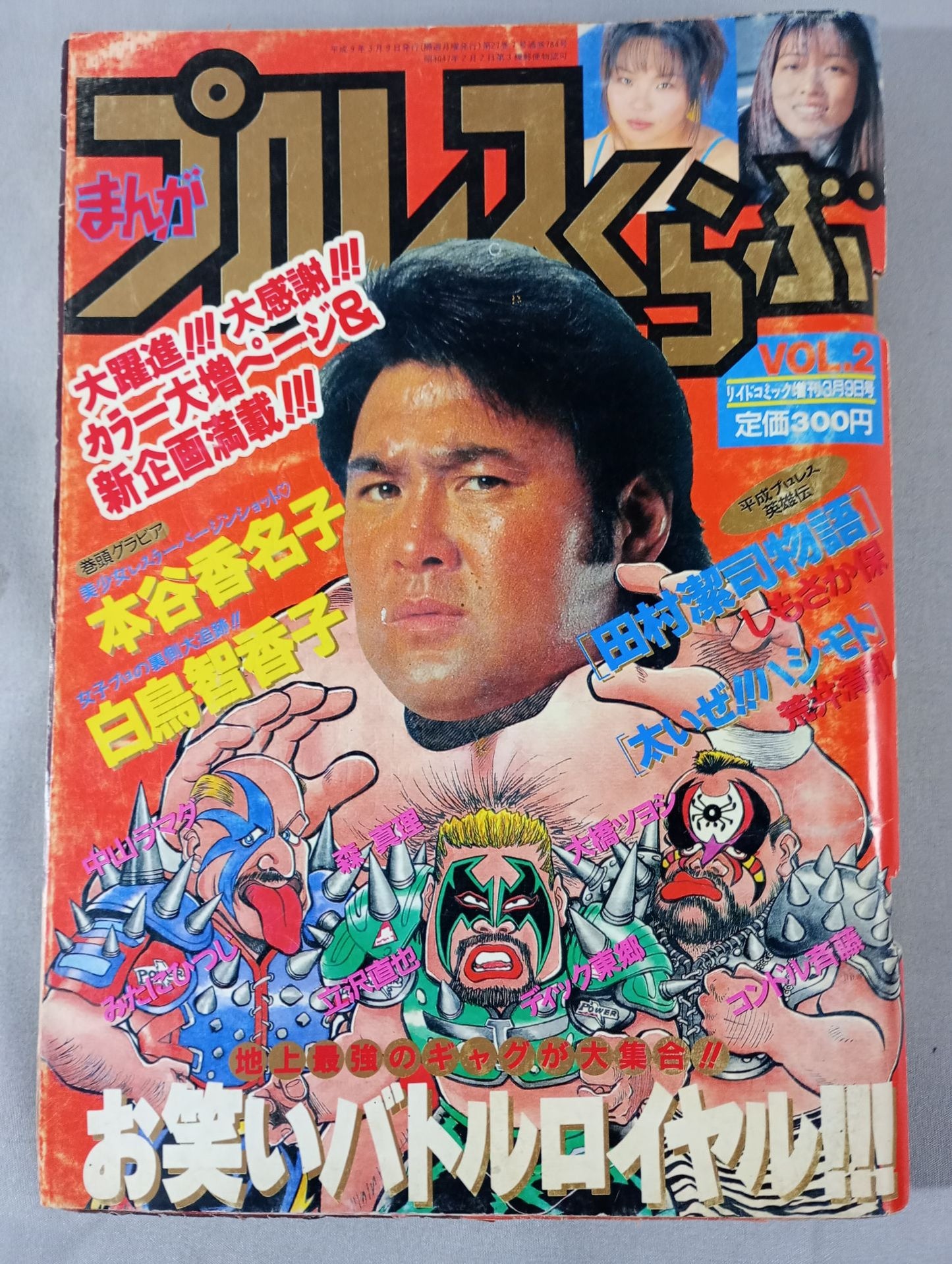 Manga Pro Wrestling VOL.2