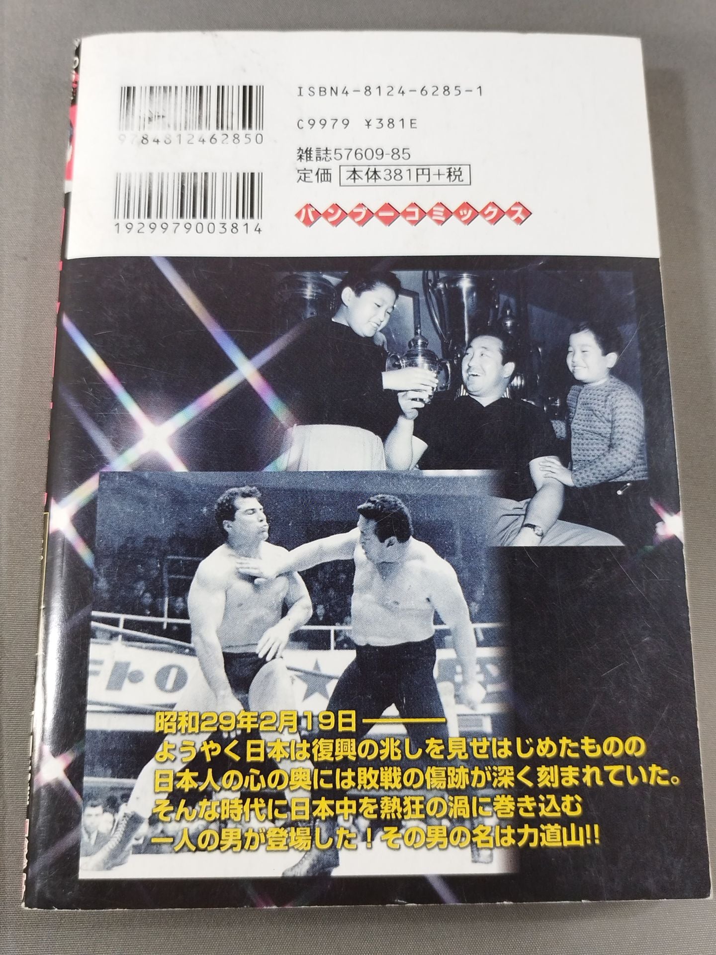 True Story Rikidozan Legend Japan Pro Wrestling Dawn of