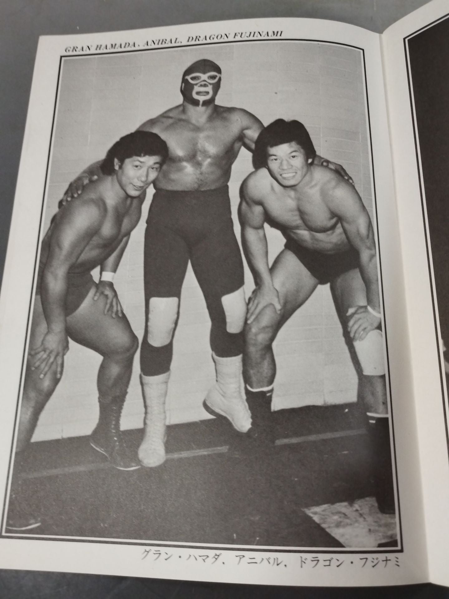 MEXICAN Wrestling ALBUM